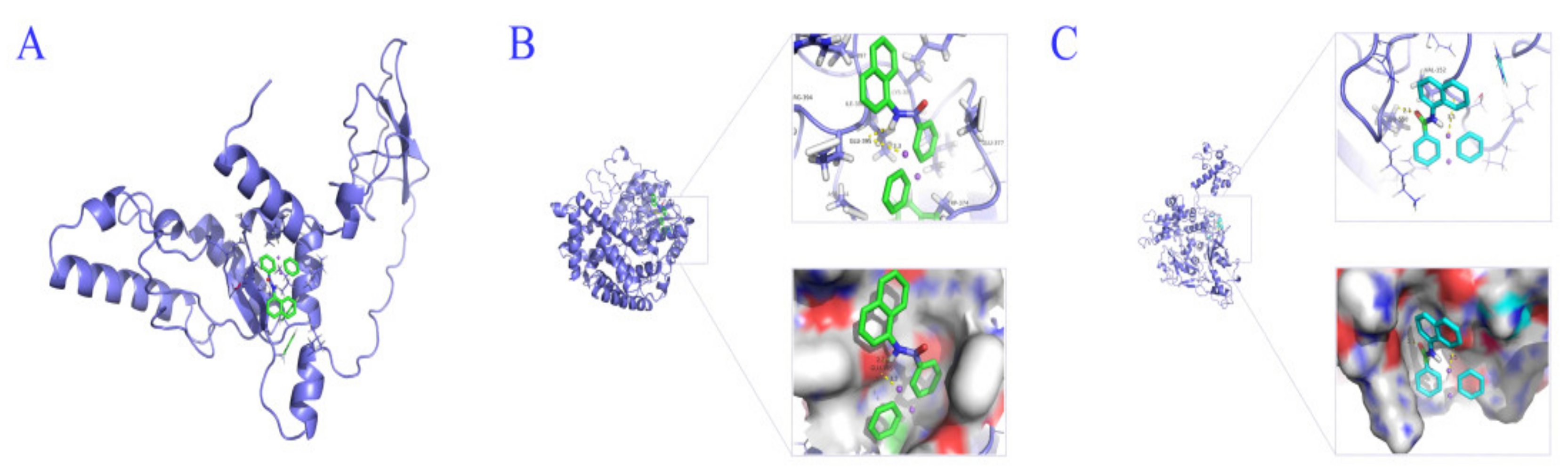 Agronomy 11 02532 g010 550