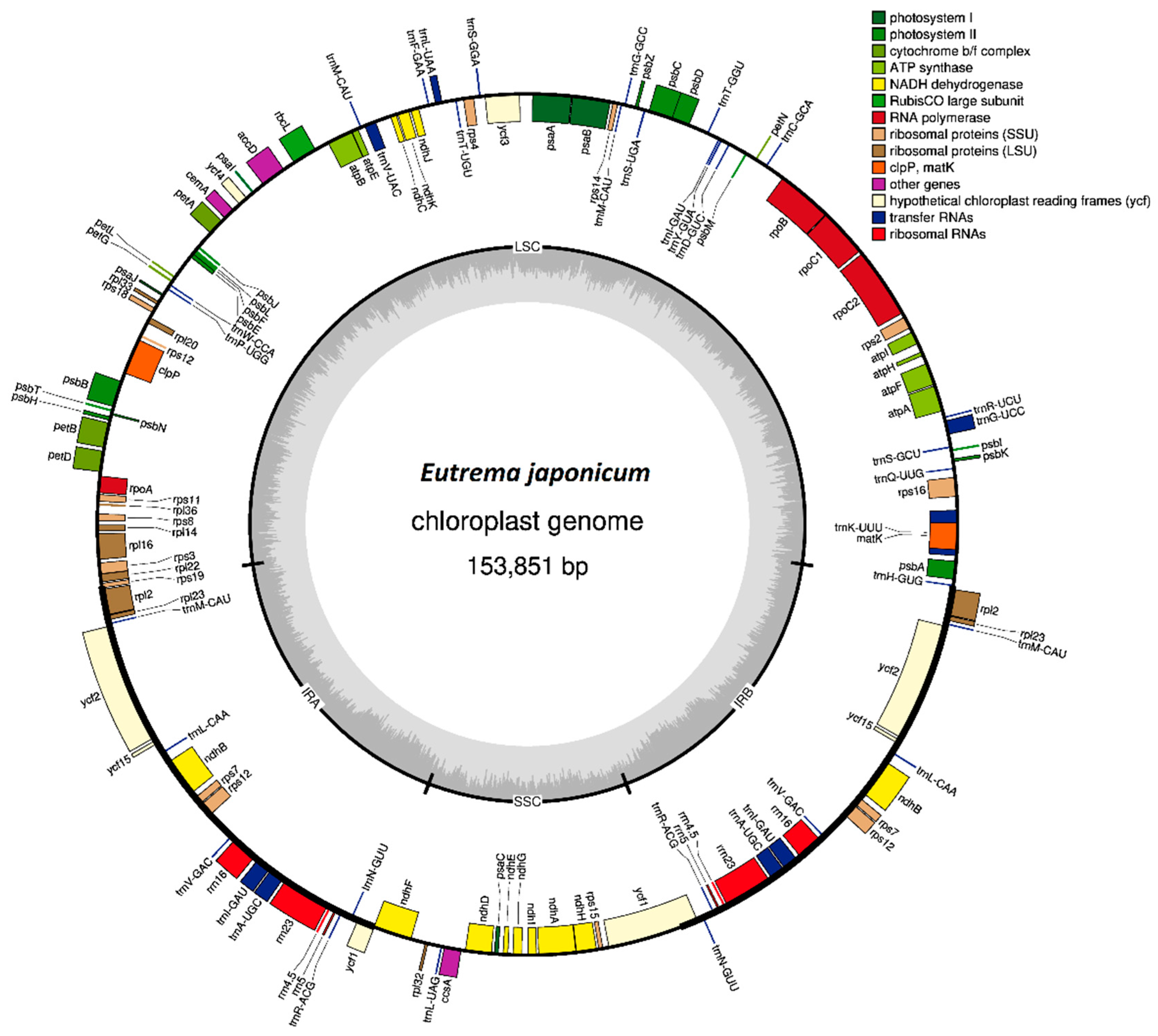 Analyses of Chloroplast Genome of Eutrema japonicum Provide