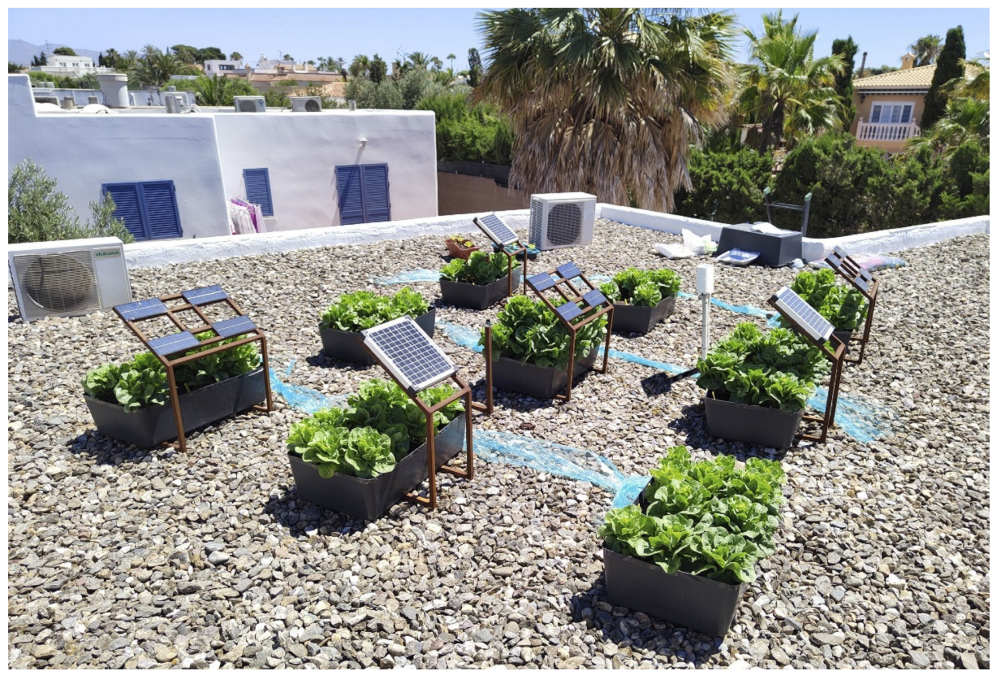 Agronomy 11 02554 g002