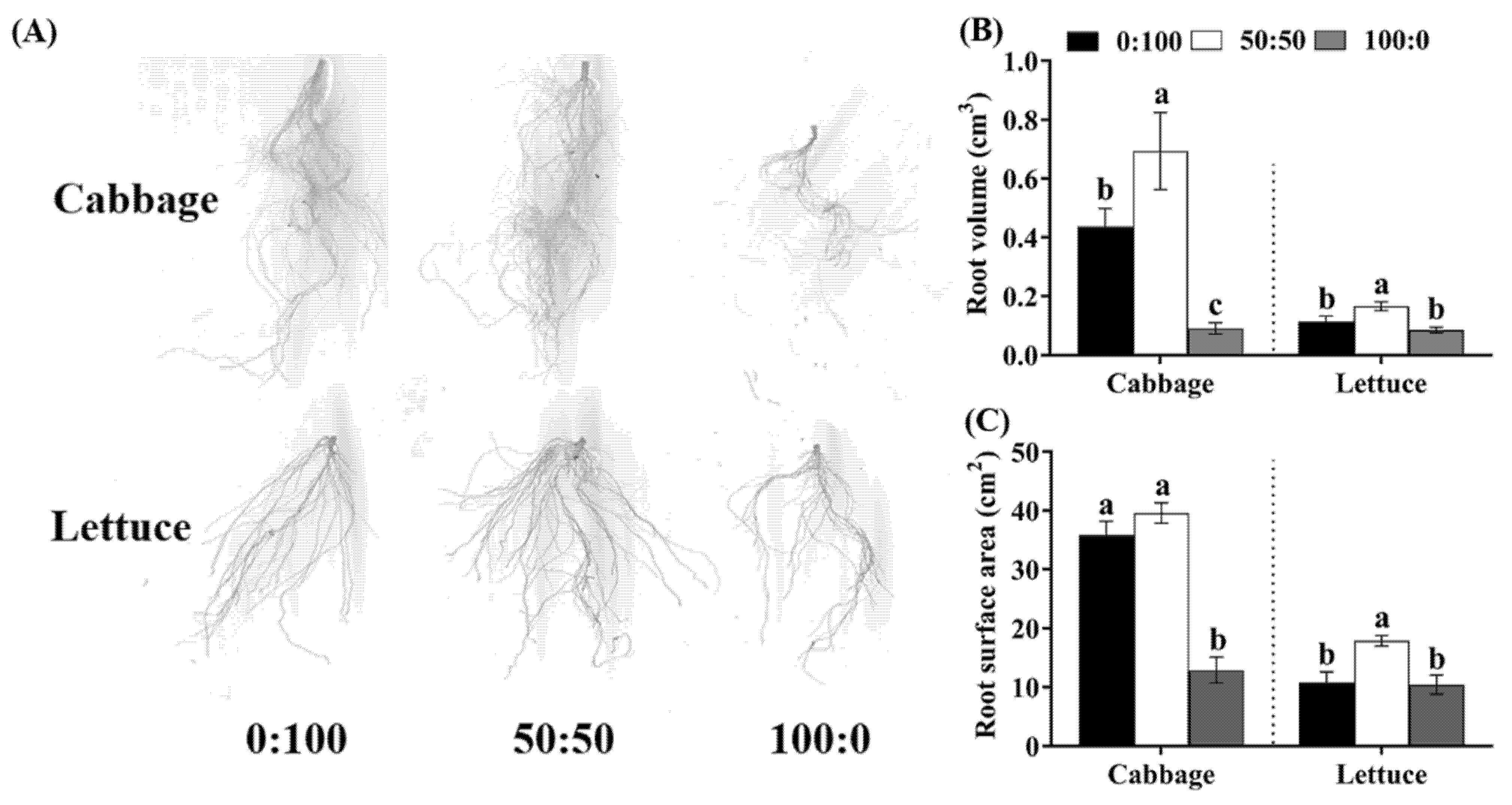 Agronomy 11 02556 g002