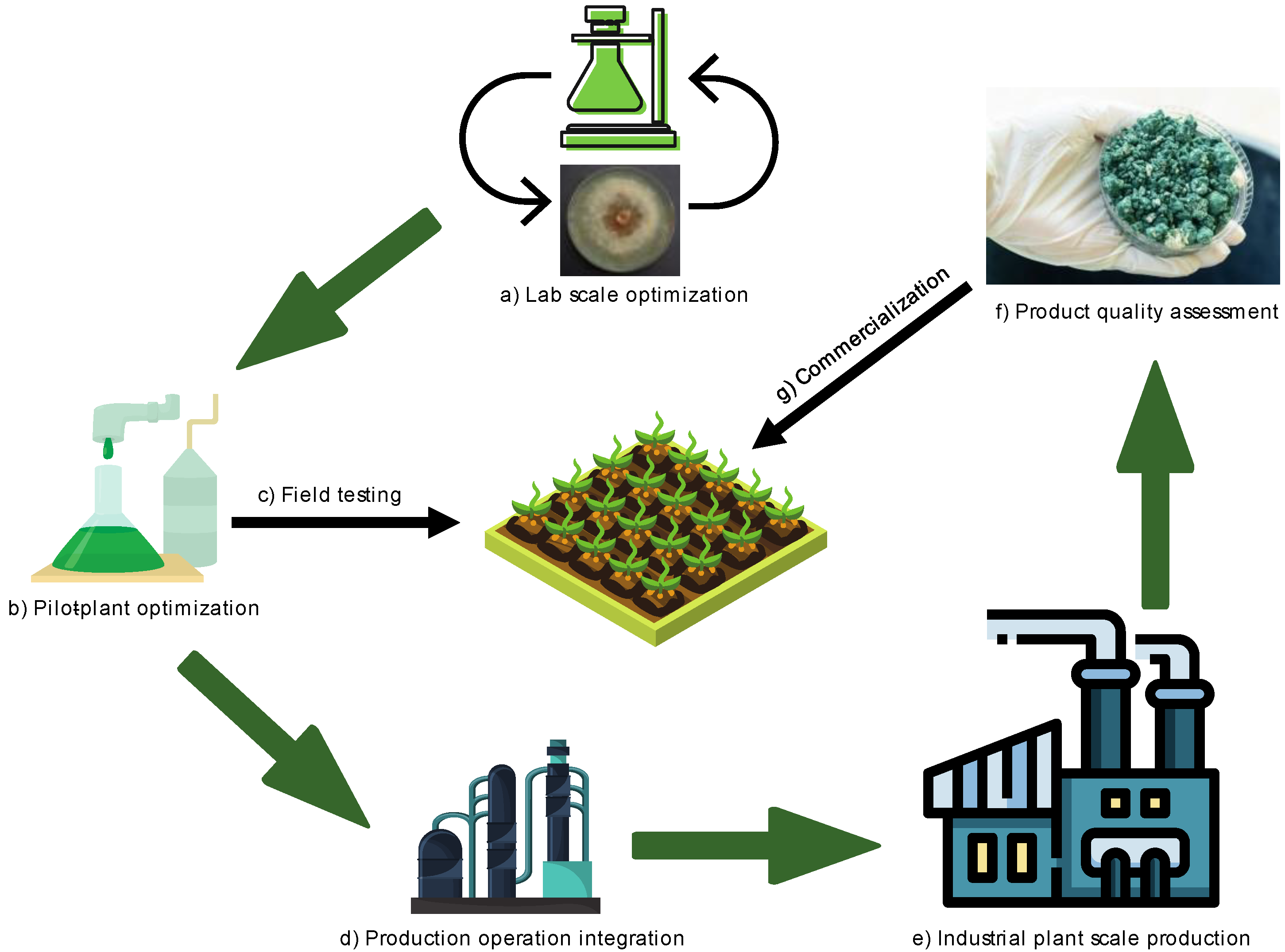 Agronomy 11 02559 g002