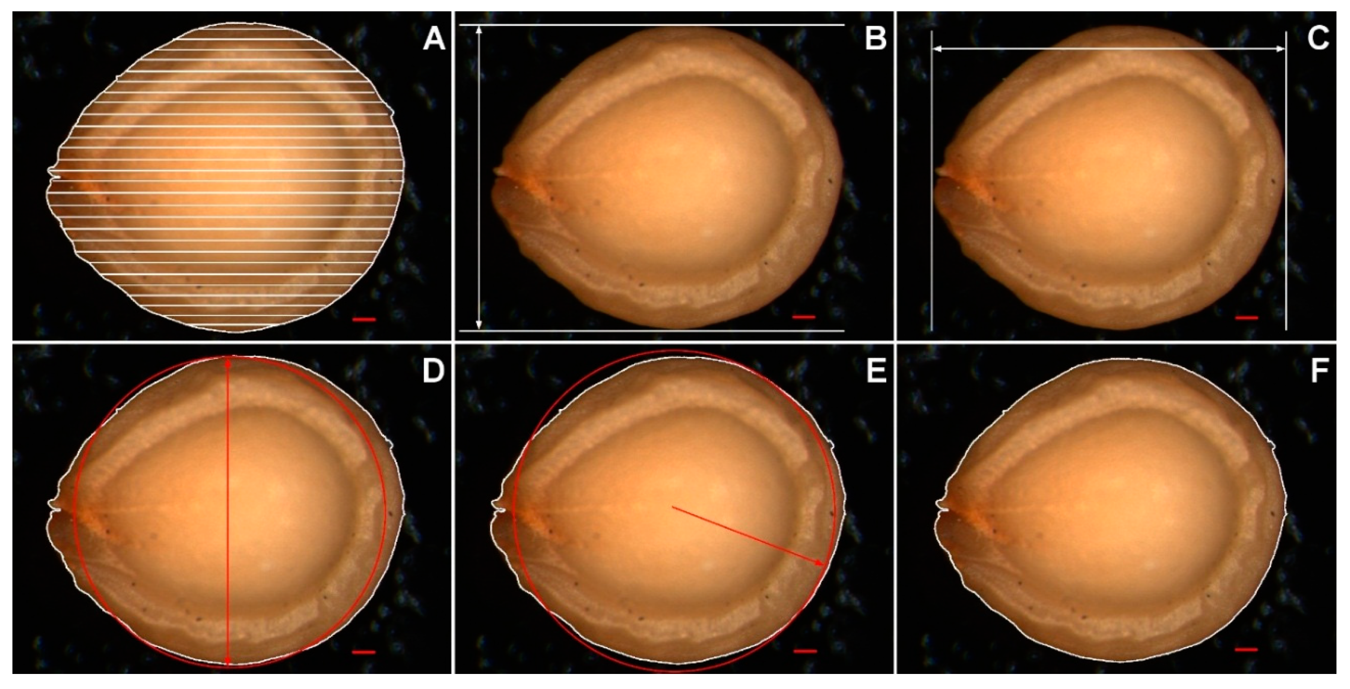 Agronomy 11 02565 g001 550