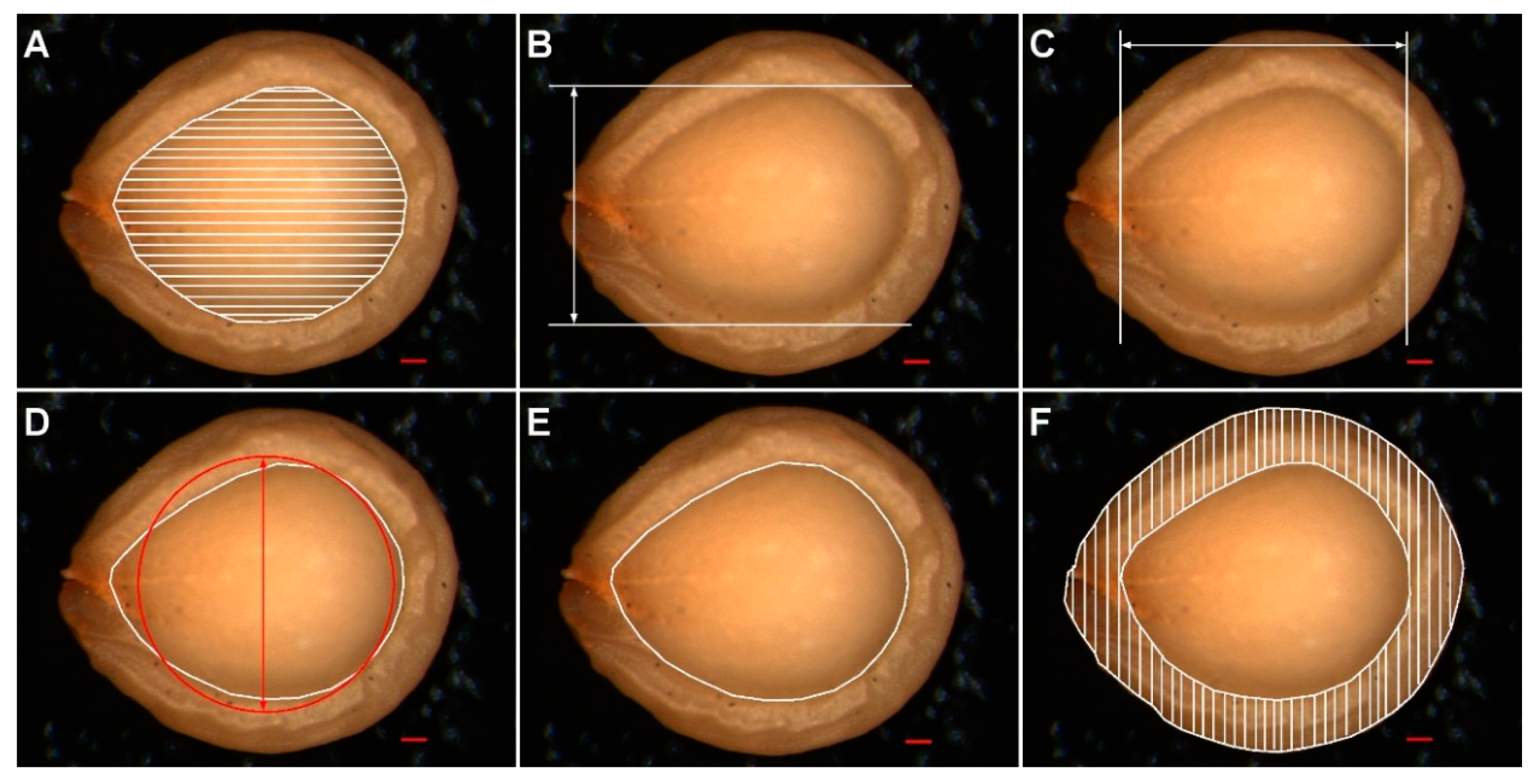 Agronomy 11 02565 g002 550