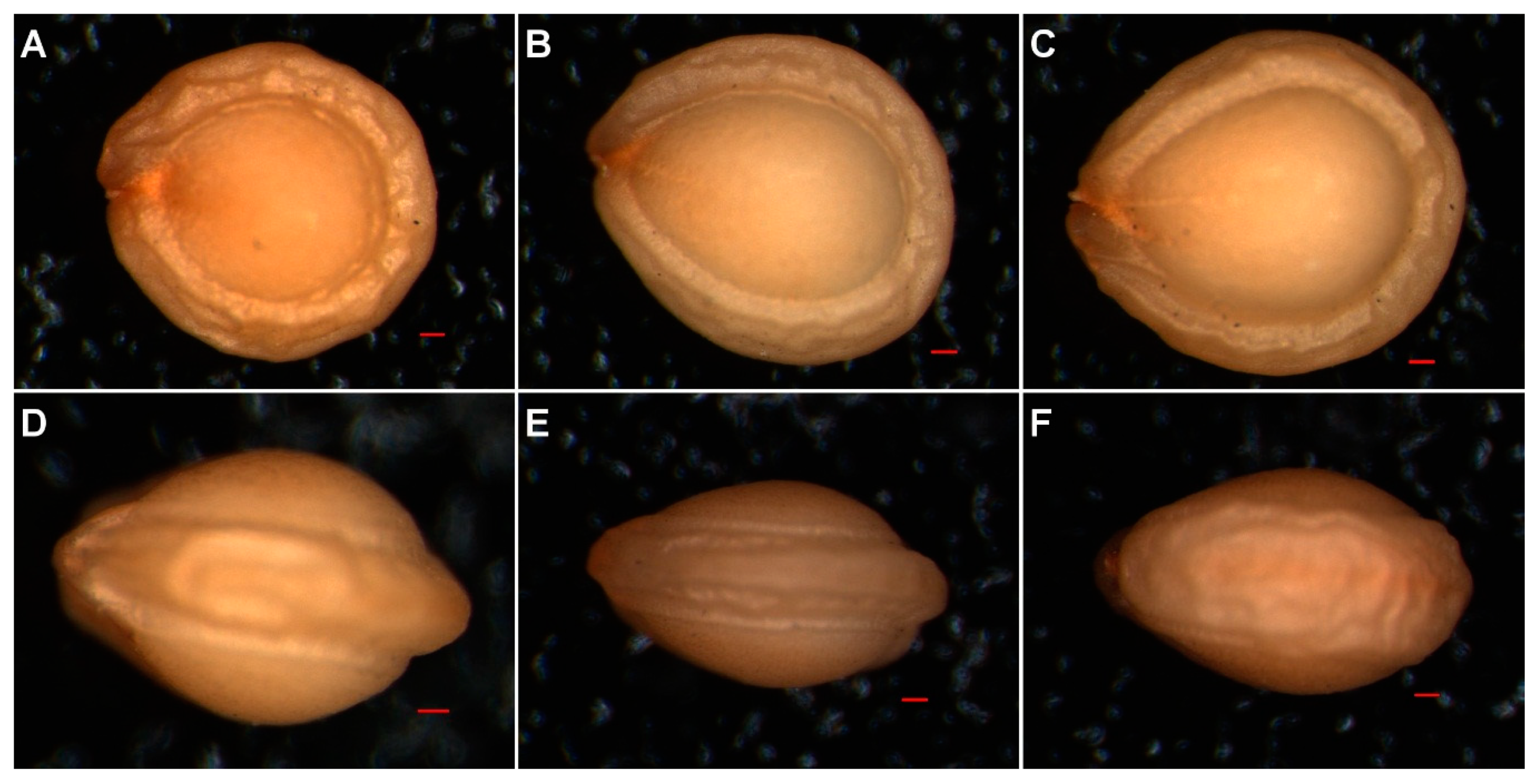 Agronomy 11 02565 g006 550