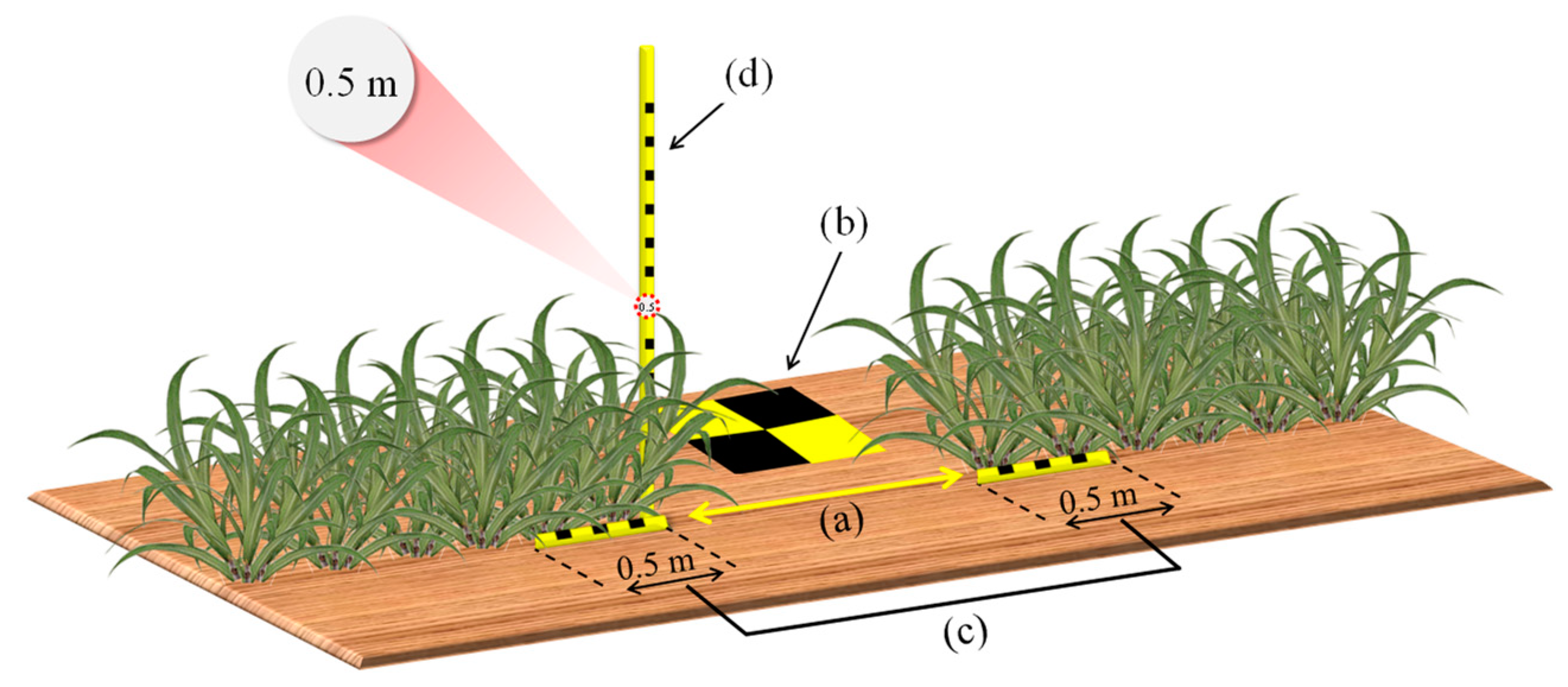 Agronomy 11 02578 g001