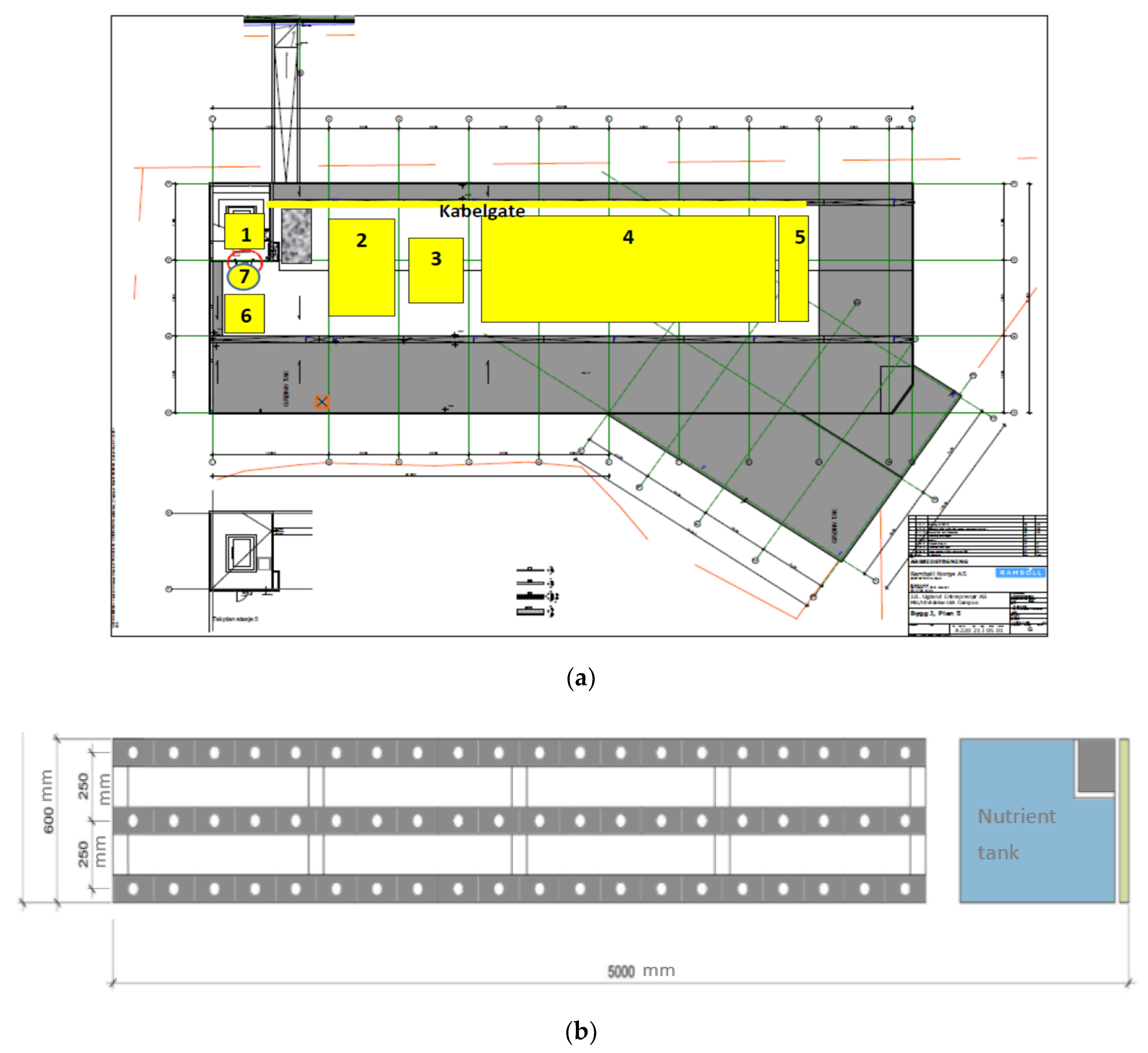 Agronomy 11 02586 g001 550