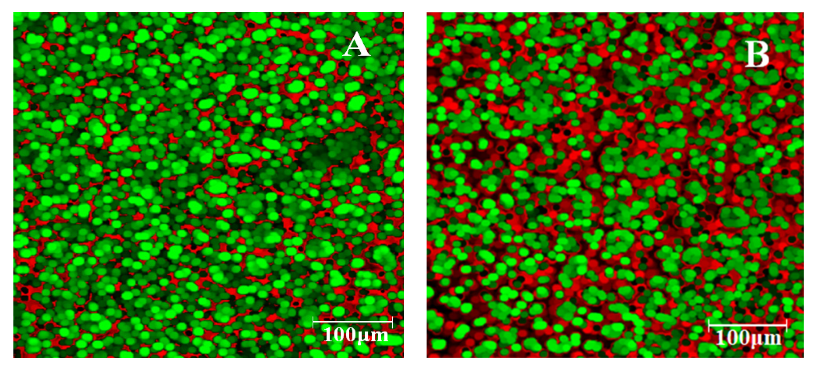 Agronomy 11 02588 g011
