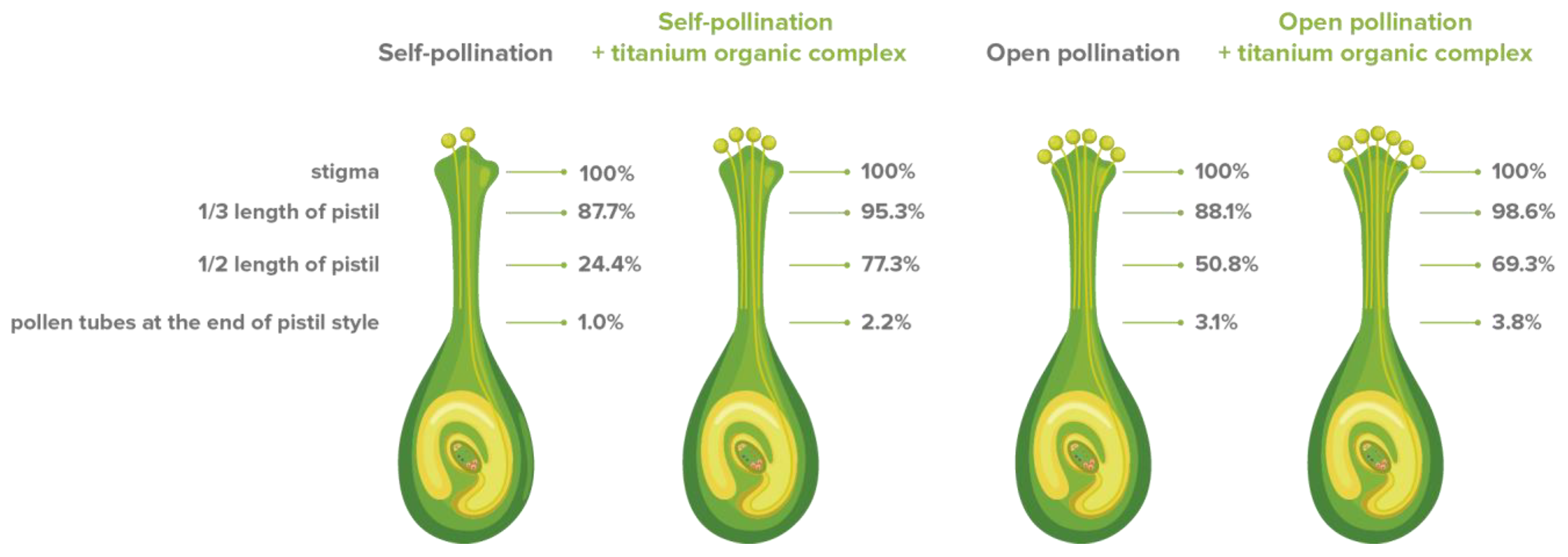 Agronomy 11 02591 g002 Agronomy 11 02591 g002