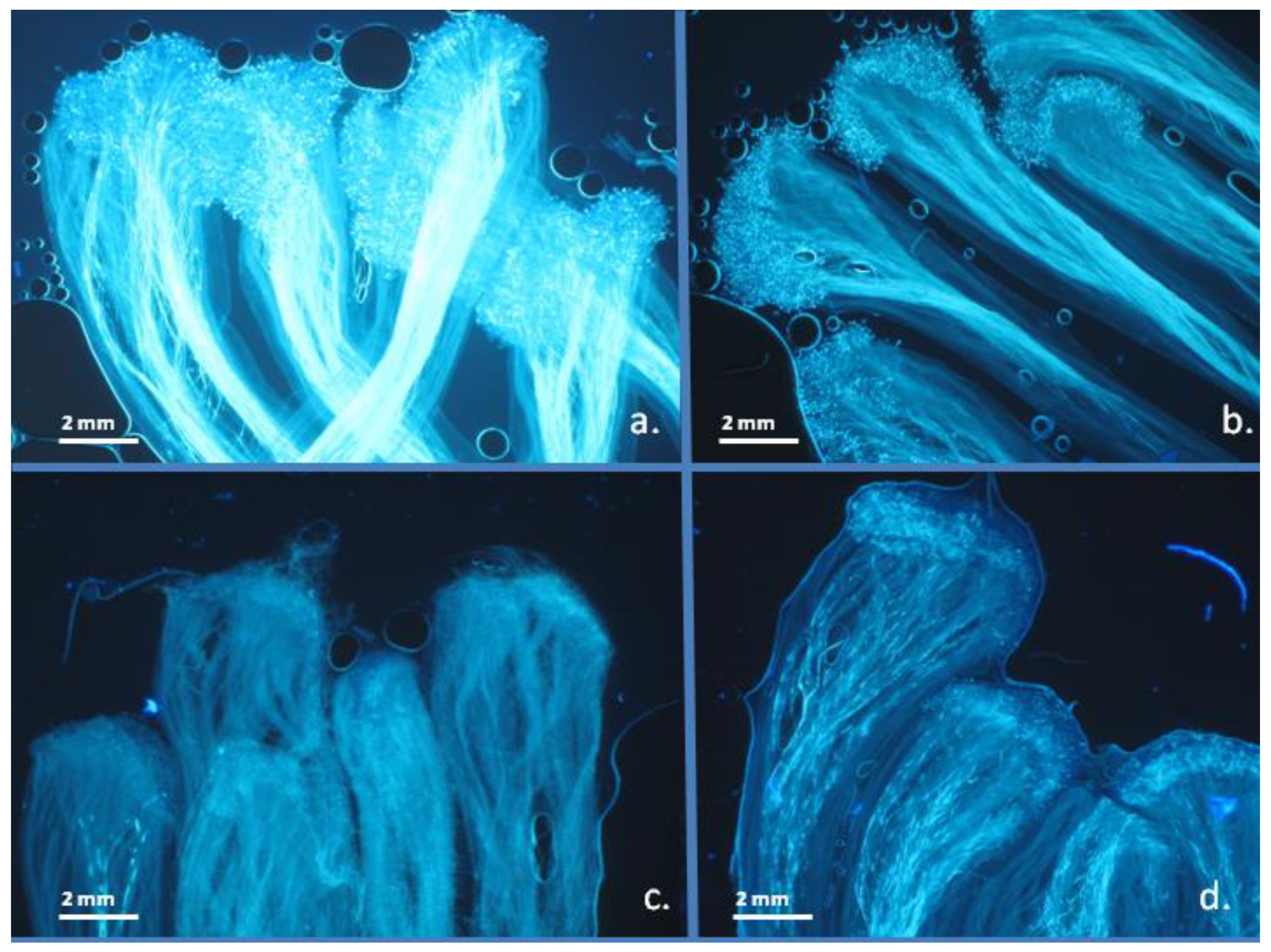 Agronomy 11 02591 g003 Agronomy 11 02591 g003