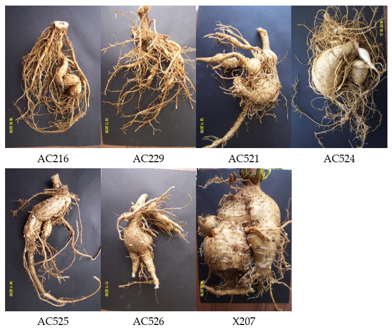 Agronomy 12 00005 g001