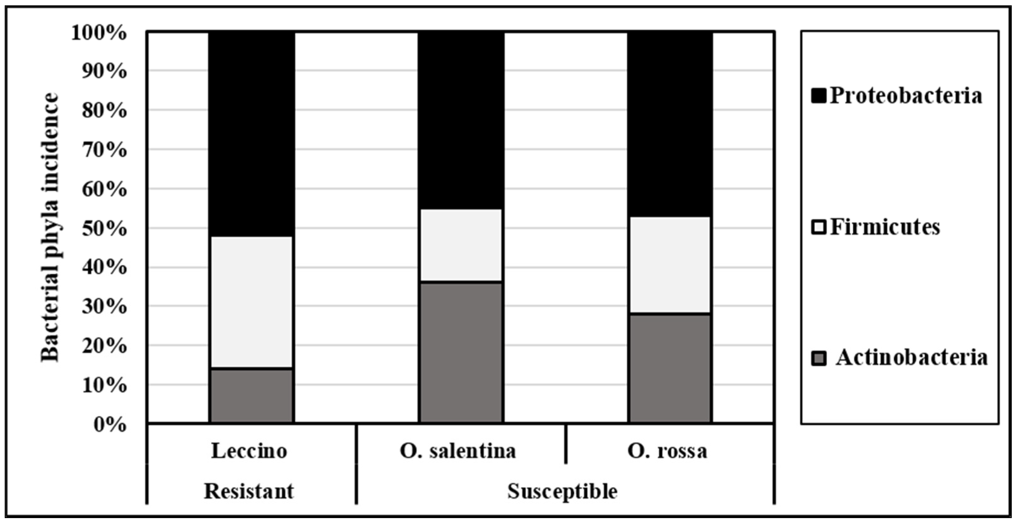 Agronomy 12 00009 g001