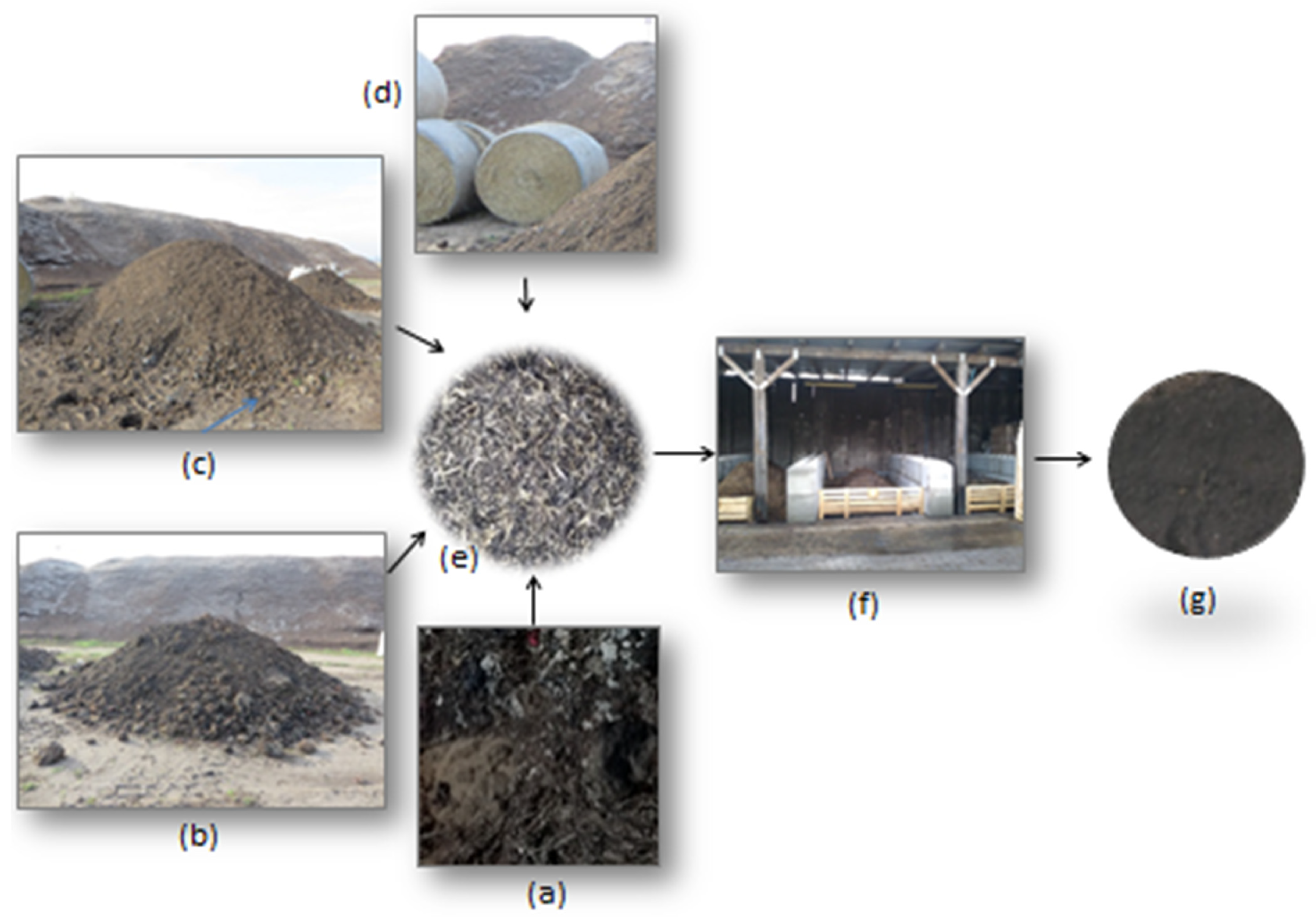 Agronomy 12 00013 g001 550