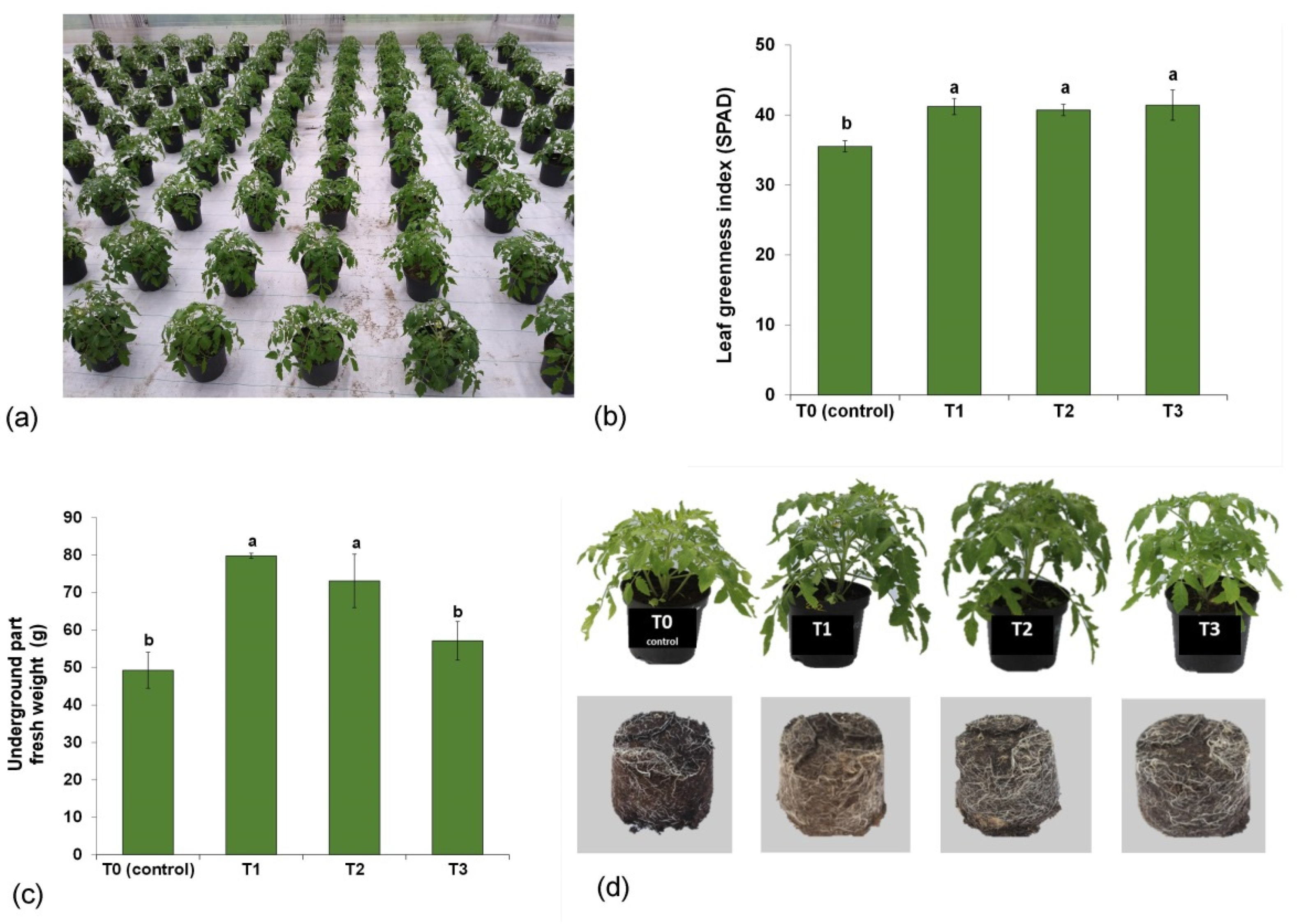 Agronomy 12 00013 g003 550