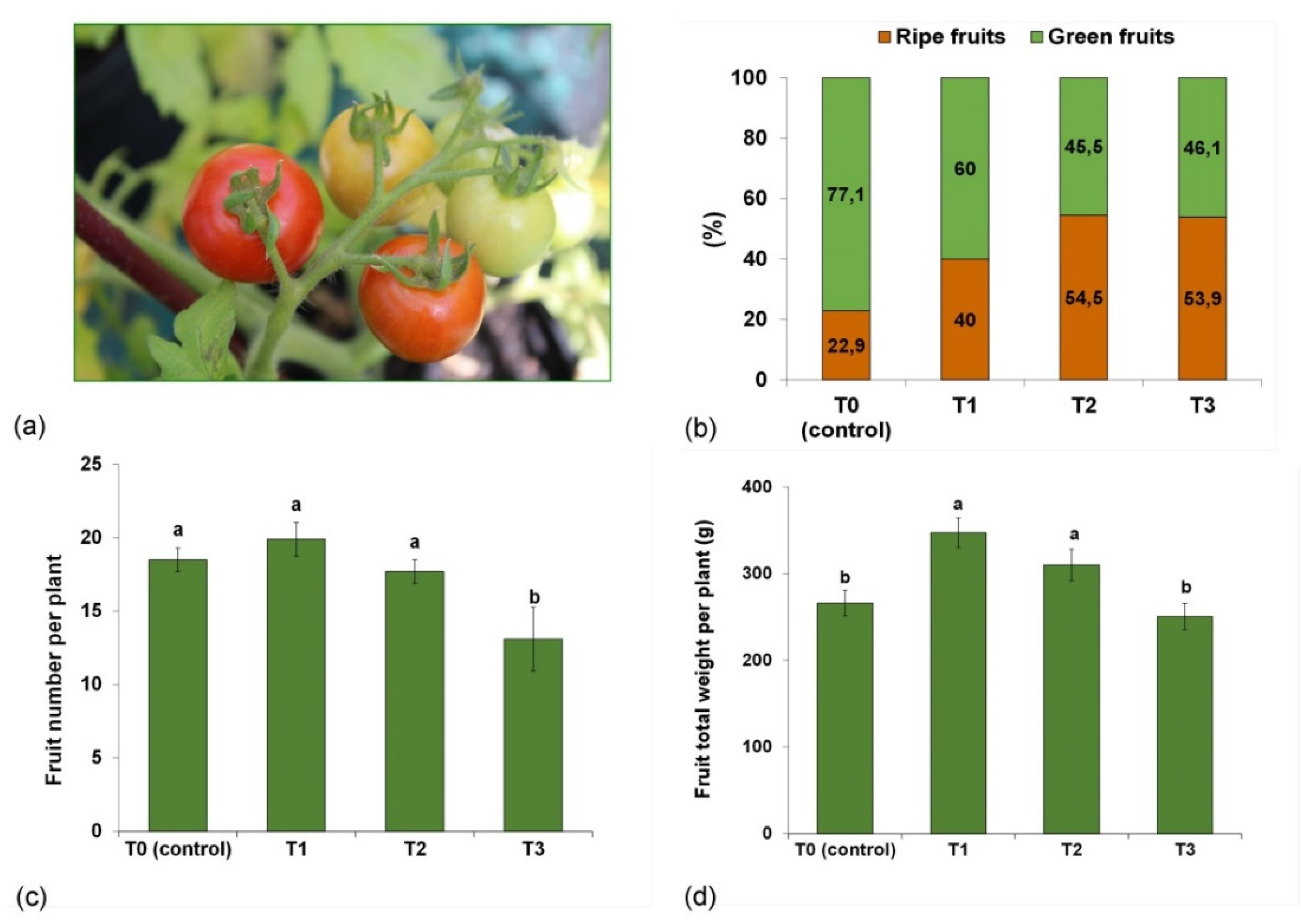 Agronomy 12 00013 g004 550