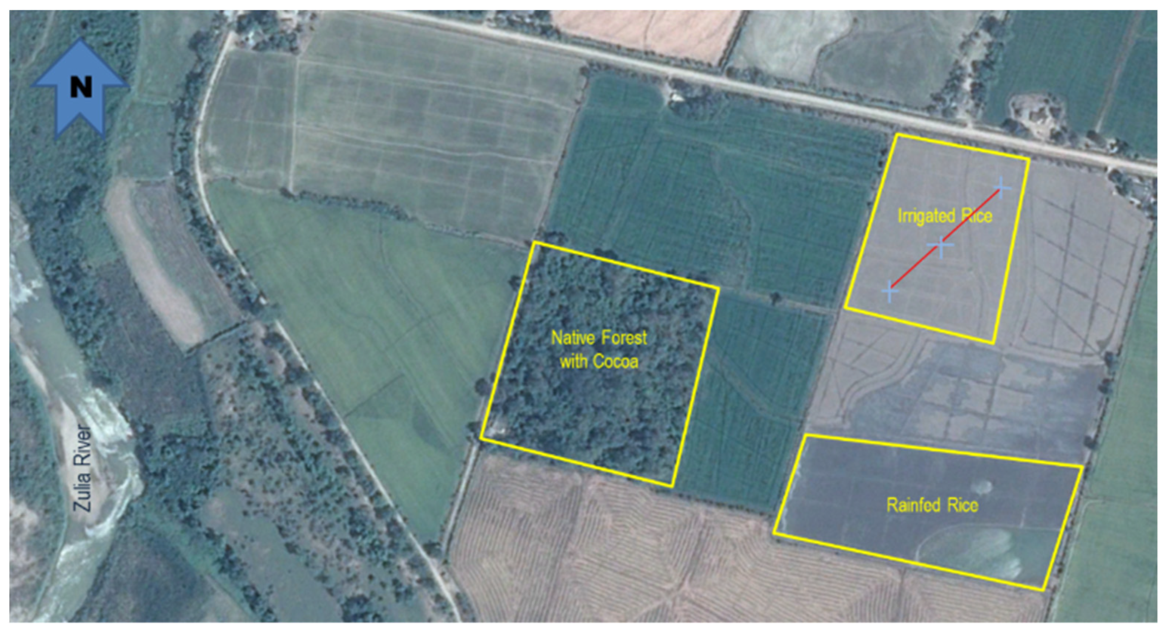 Agronomy 12 00017 g001 Agronomy 12 00017 g001