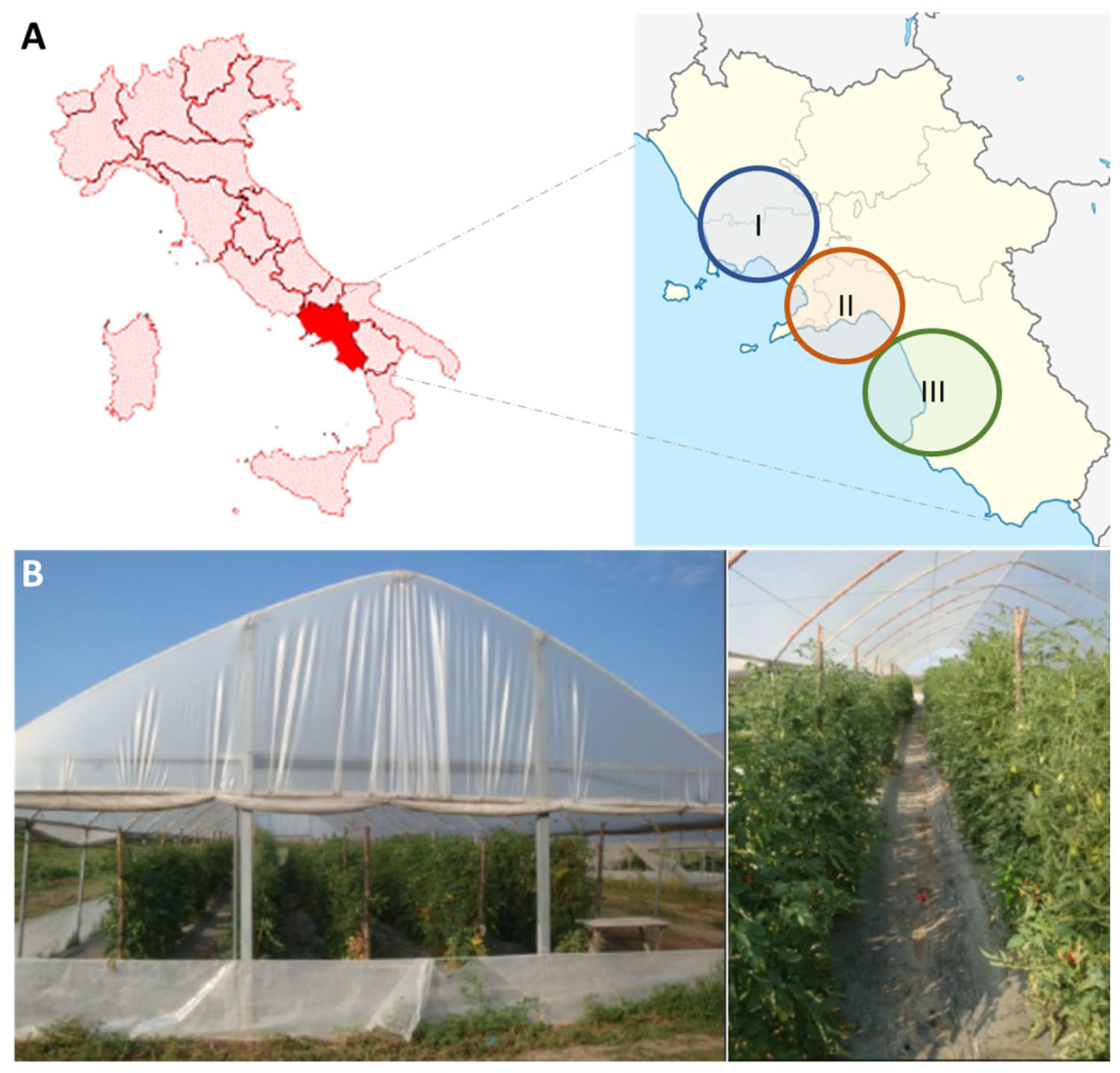 Agronomy 12 00018 g001 550