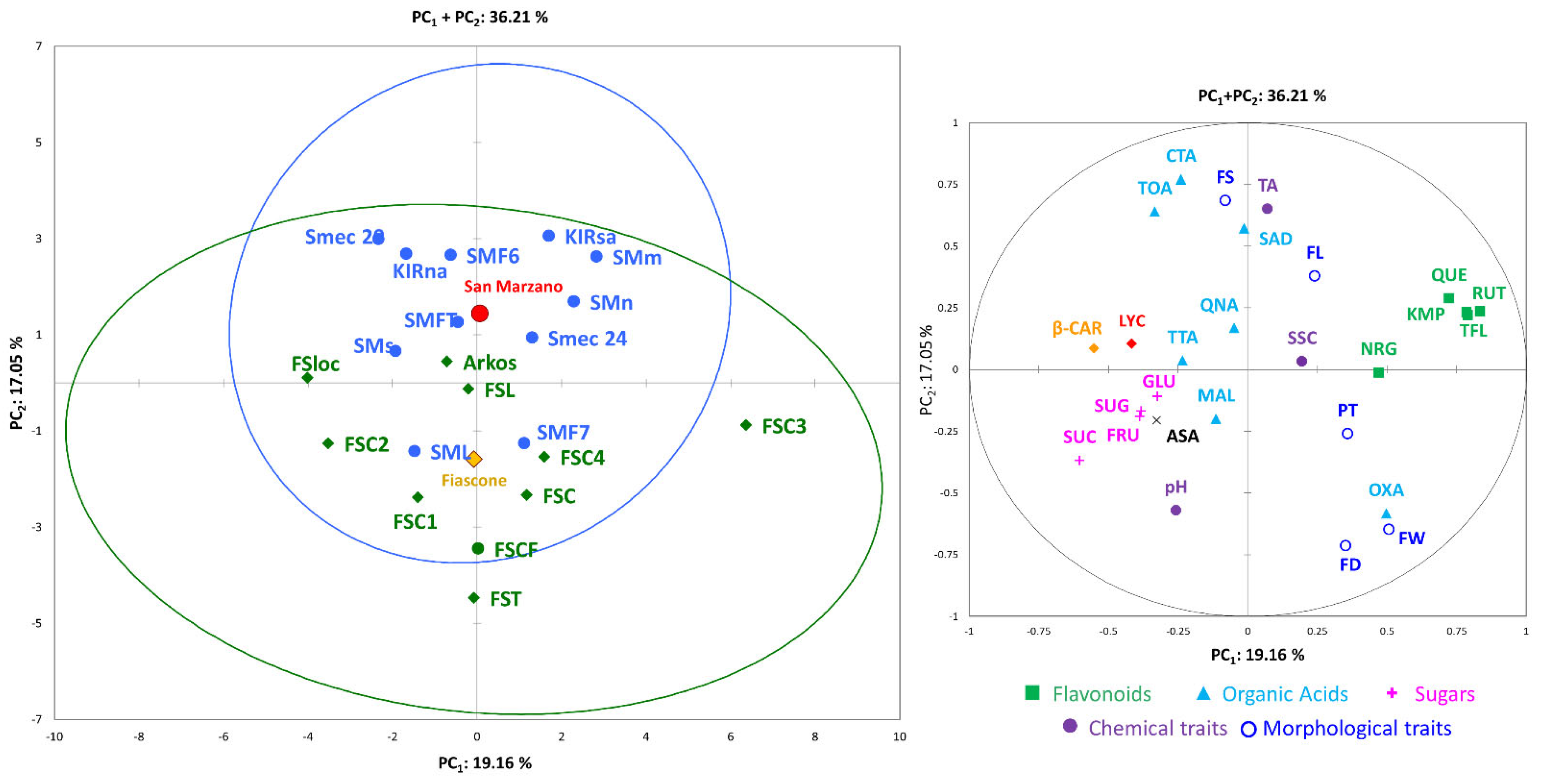 Agronomy 12 00018 g004 550