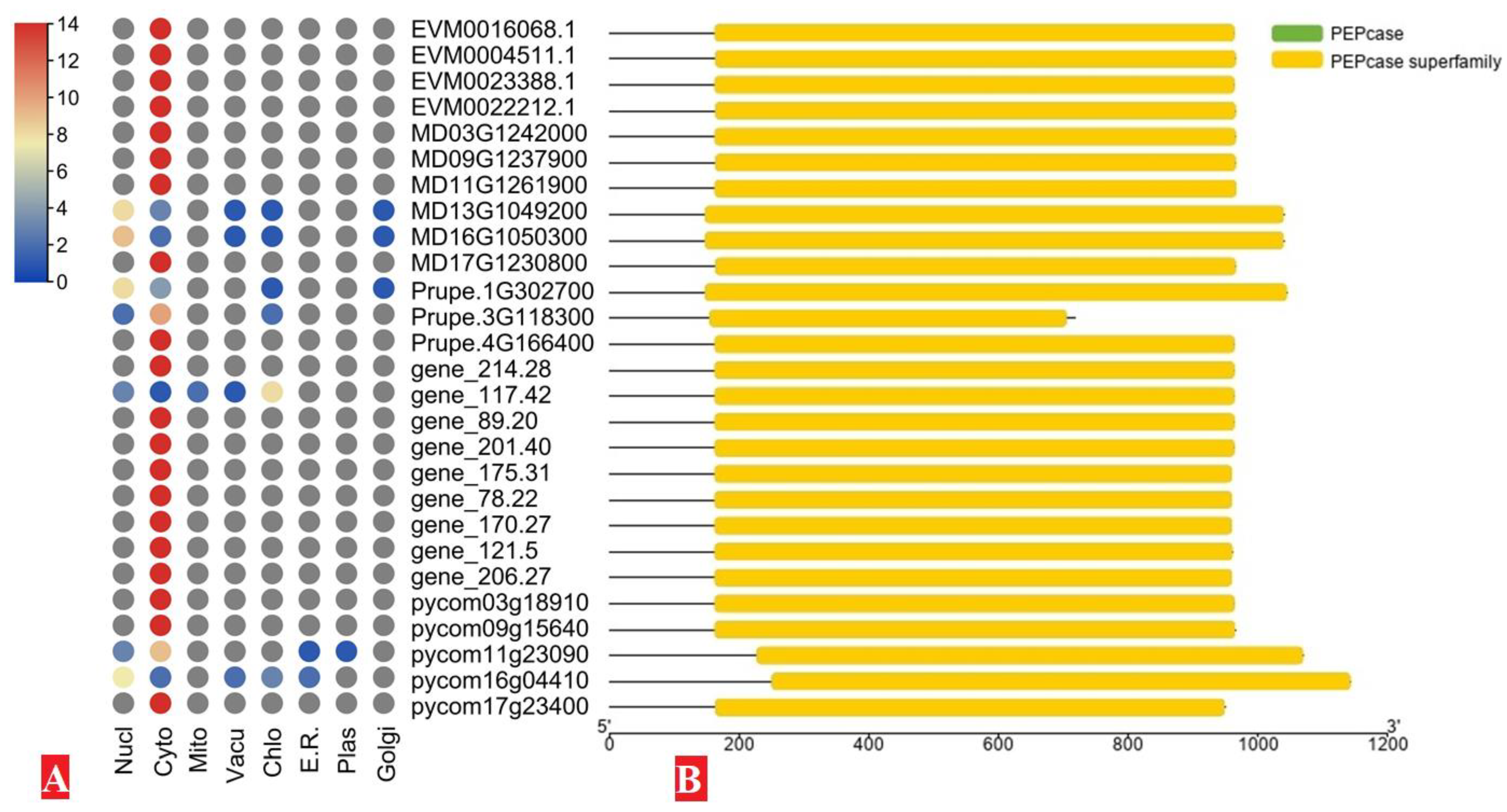 Agronomy 12 00025 g001 550