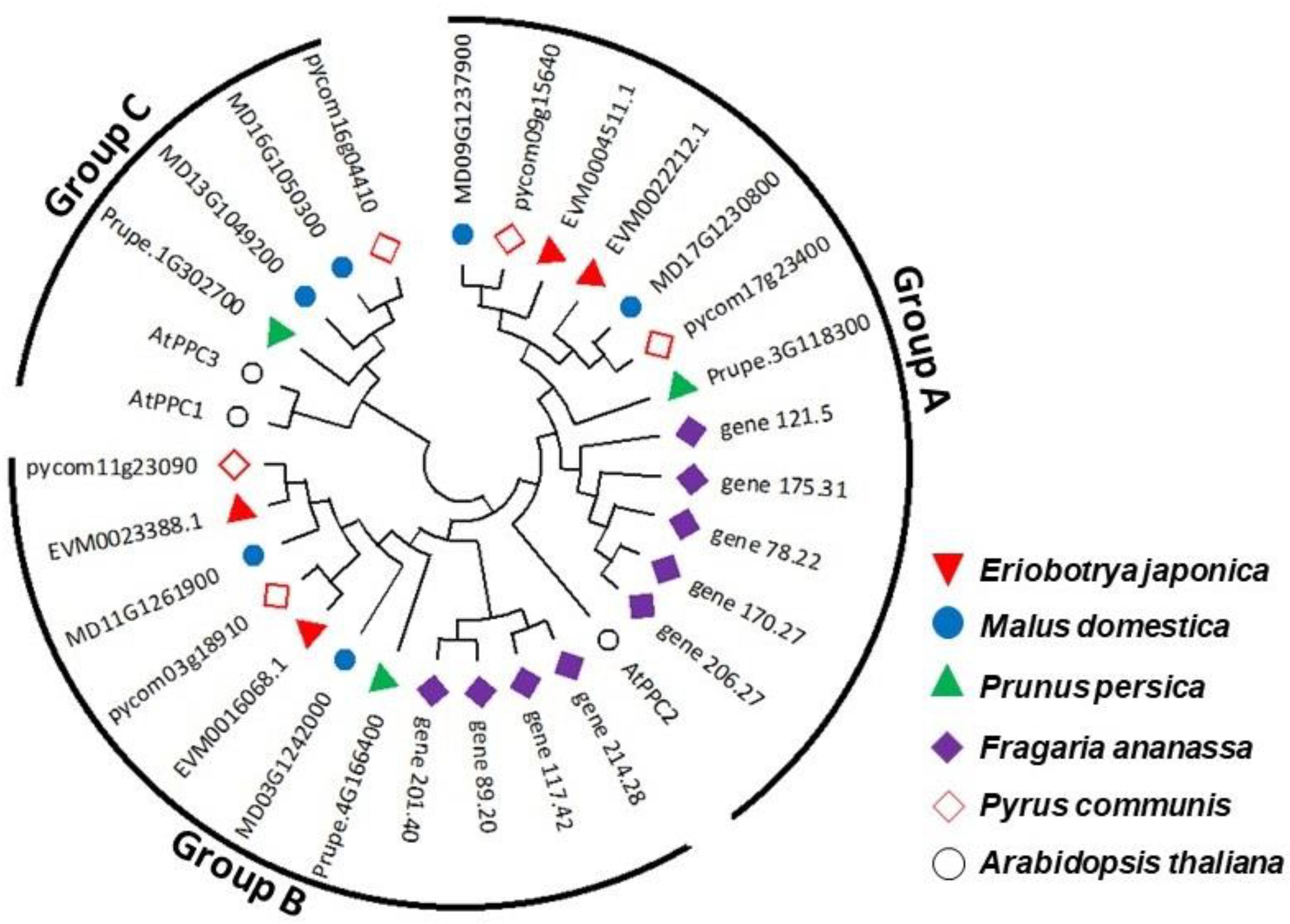 Agronomy 12 00025 g002 550