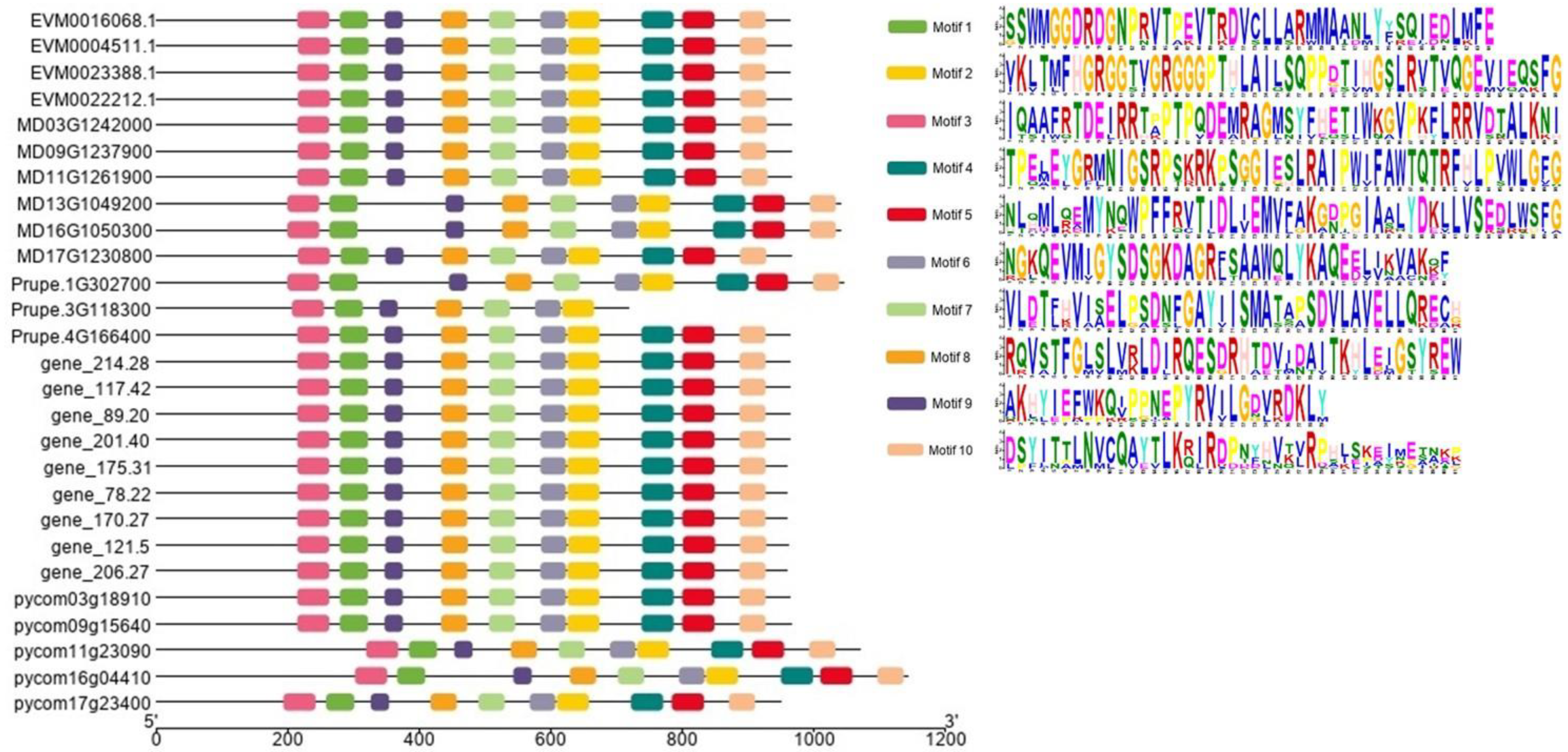 Agronomy 12 00025 g003 550