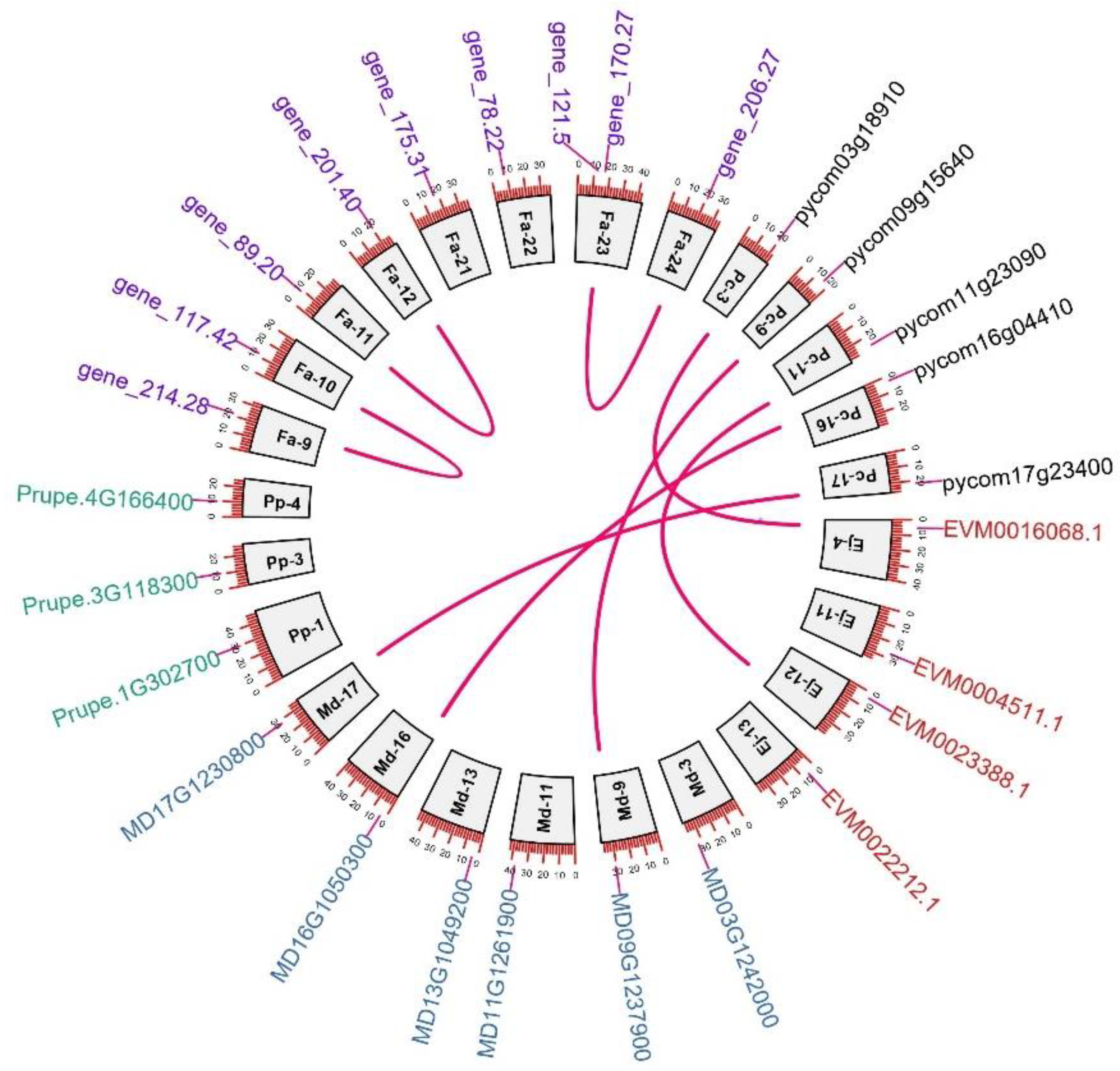 Agronomy 12 00025 g005 550