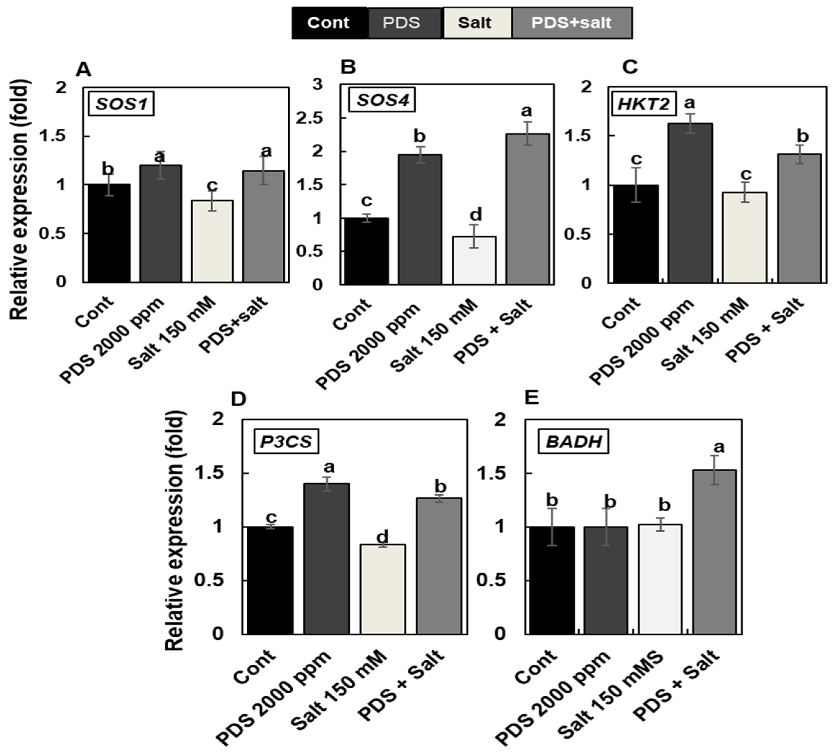 Agronomy 12 00028 g004 550