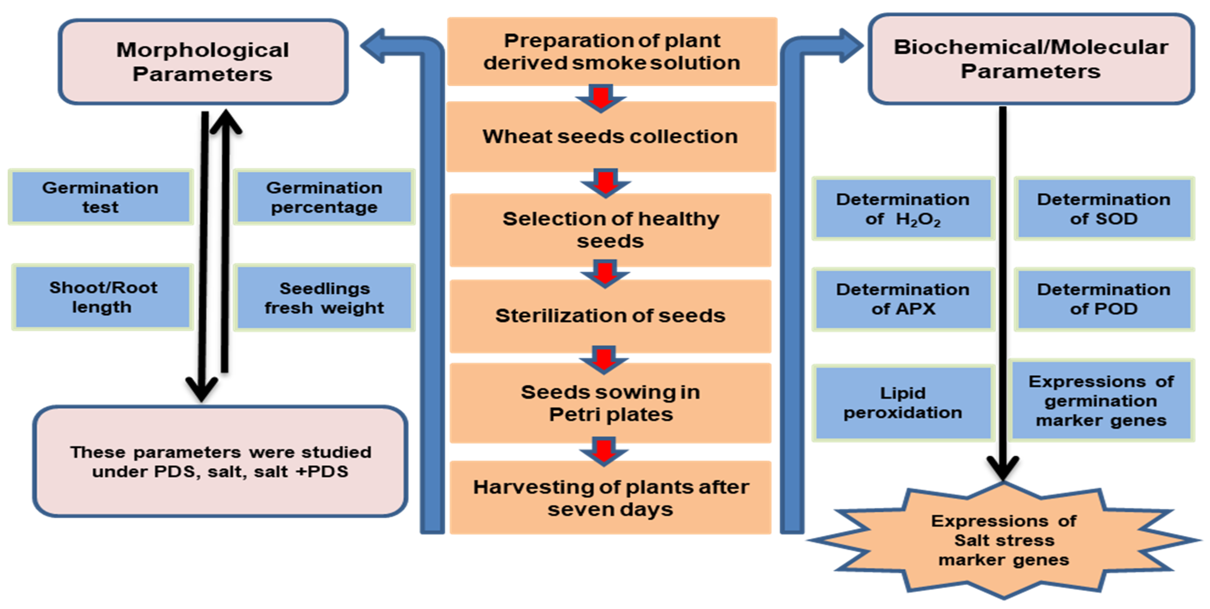 Agronomy 12 00028 g007 550