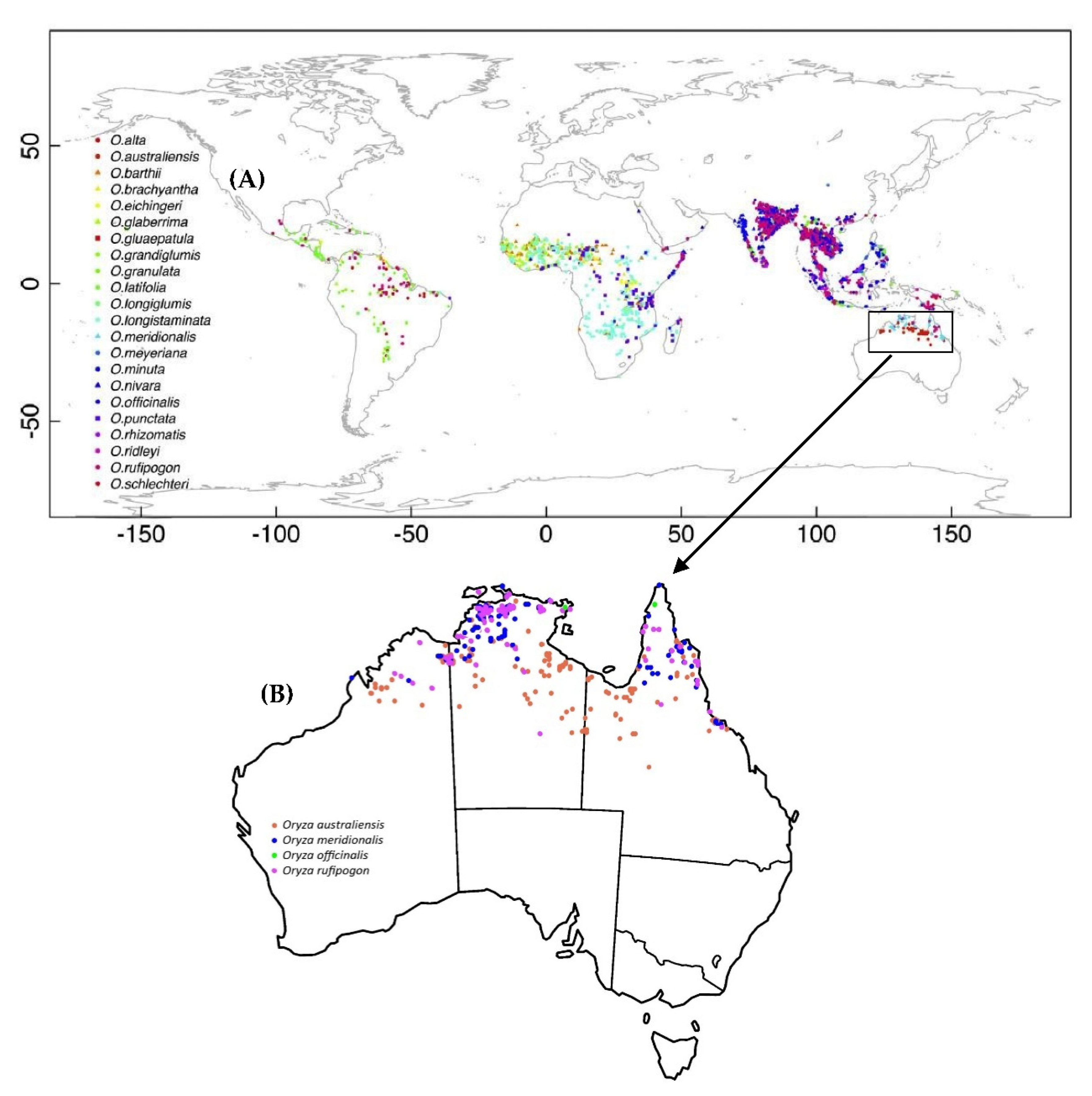 Agronomy 12 00042 g001