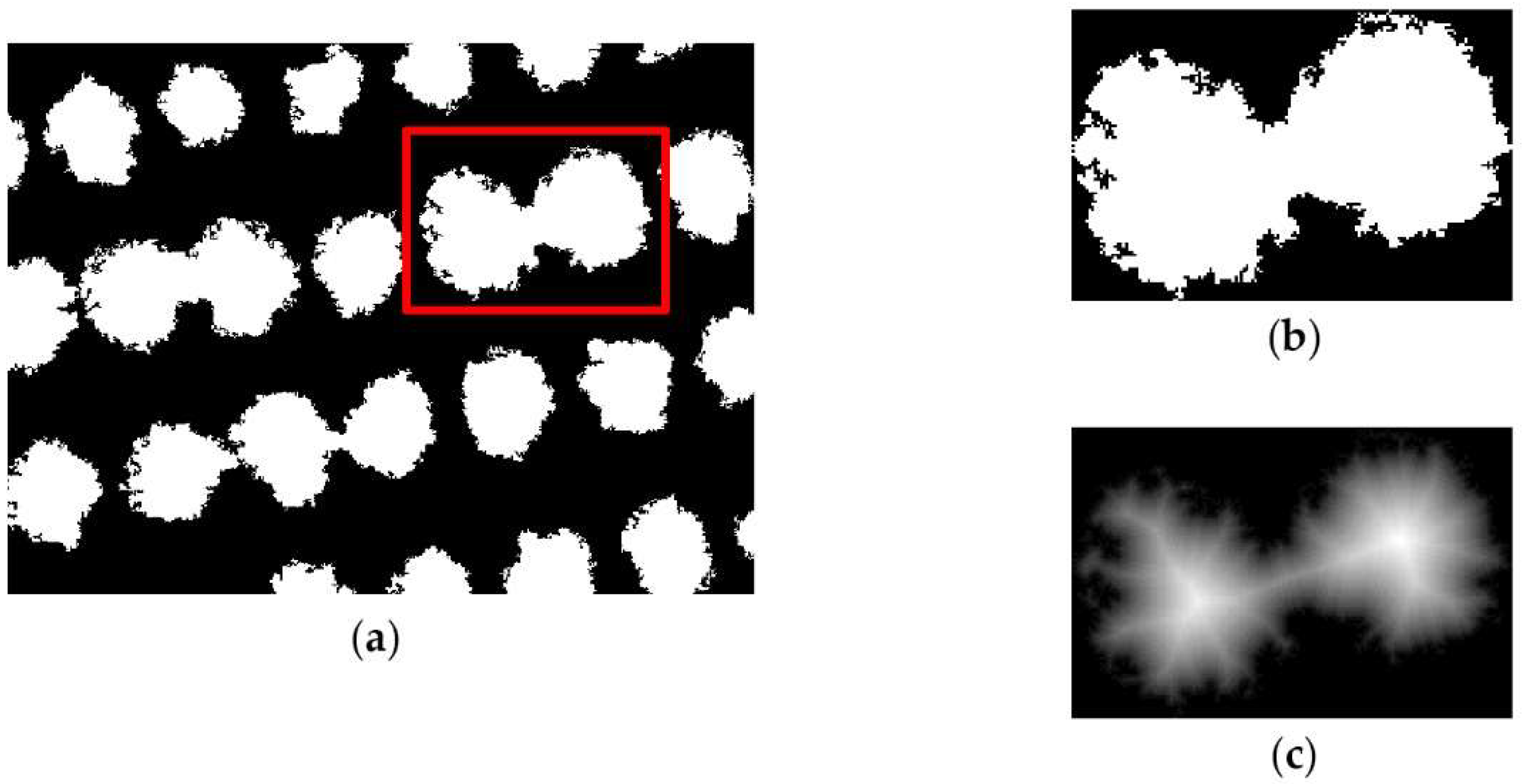 Agronomy 12 00043 g007