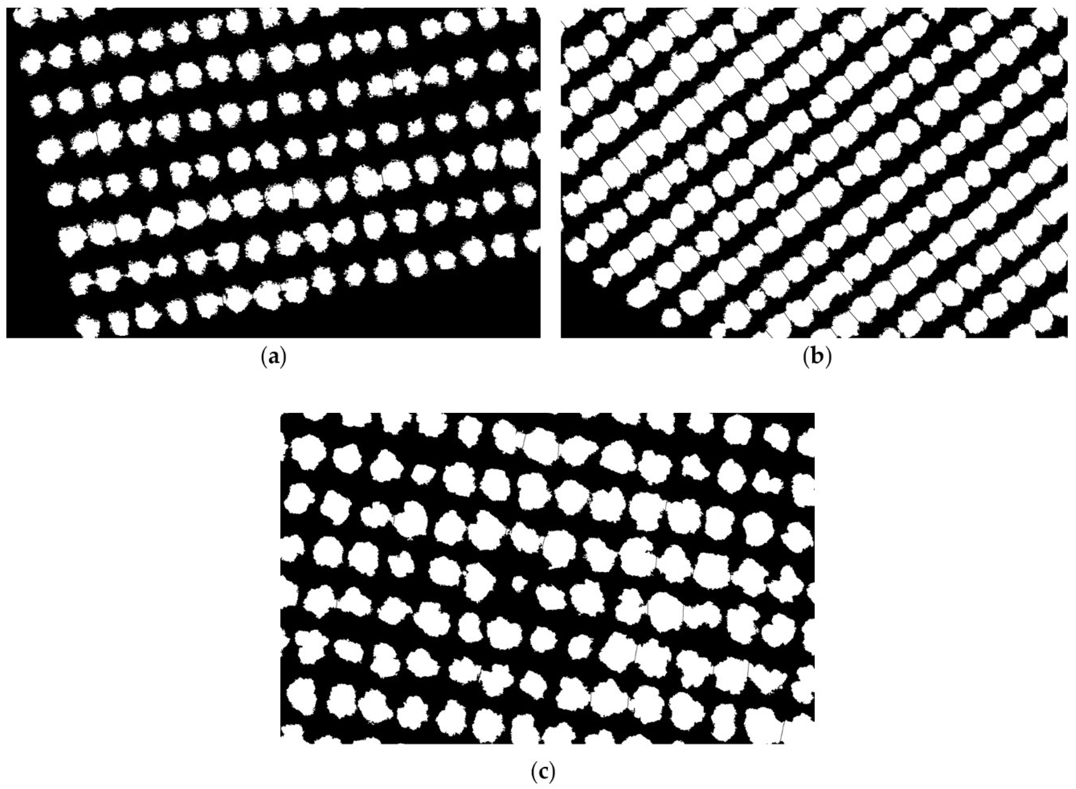 Agronomy 12 00043 g013