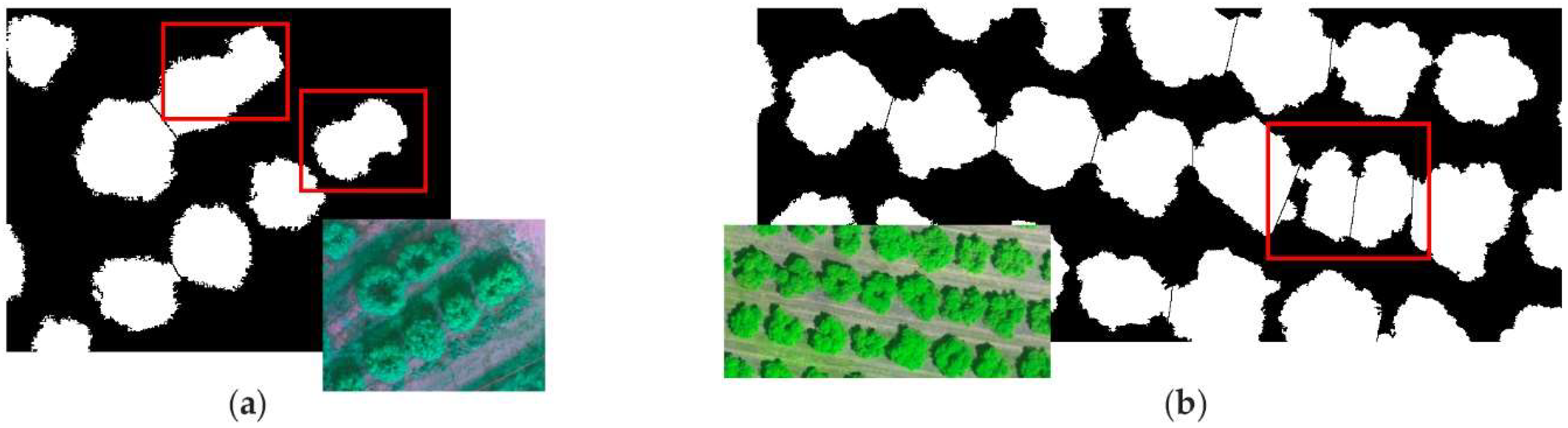 Agronomy 12 00043 g014