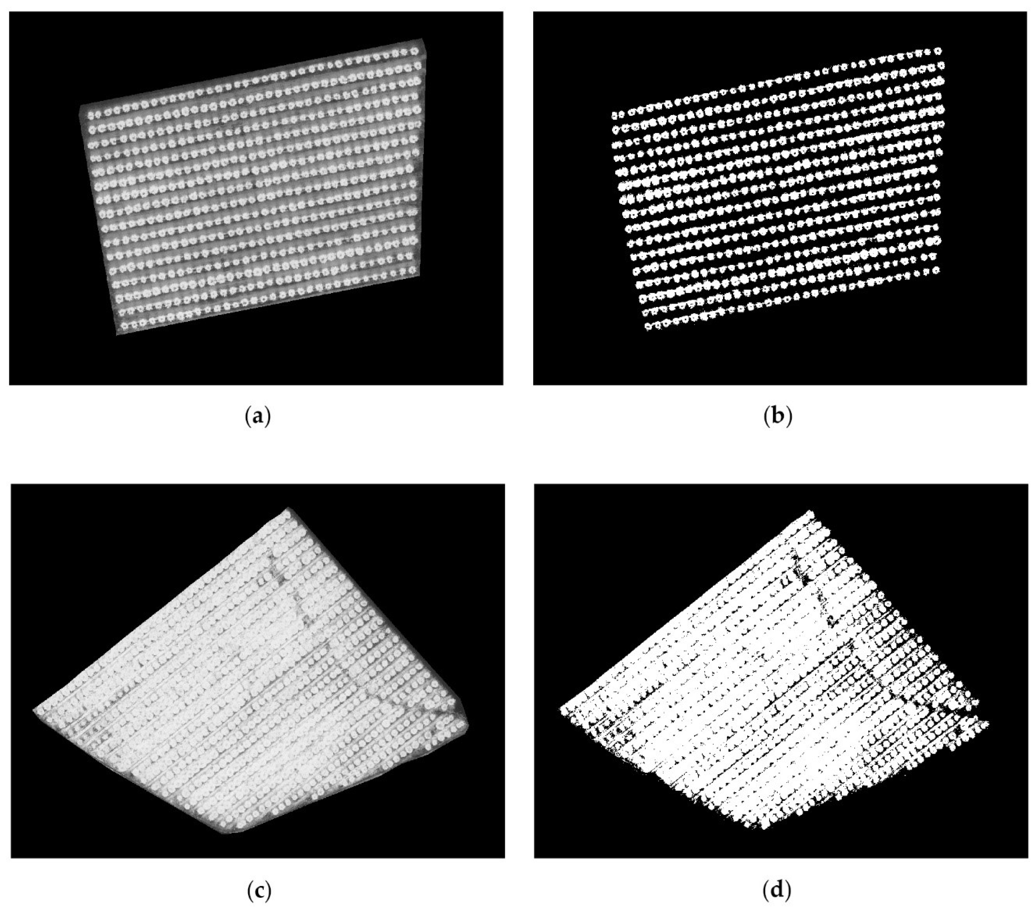 Agronomy 12 00043 g016