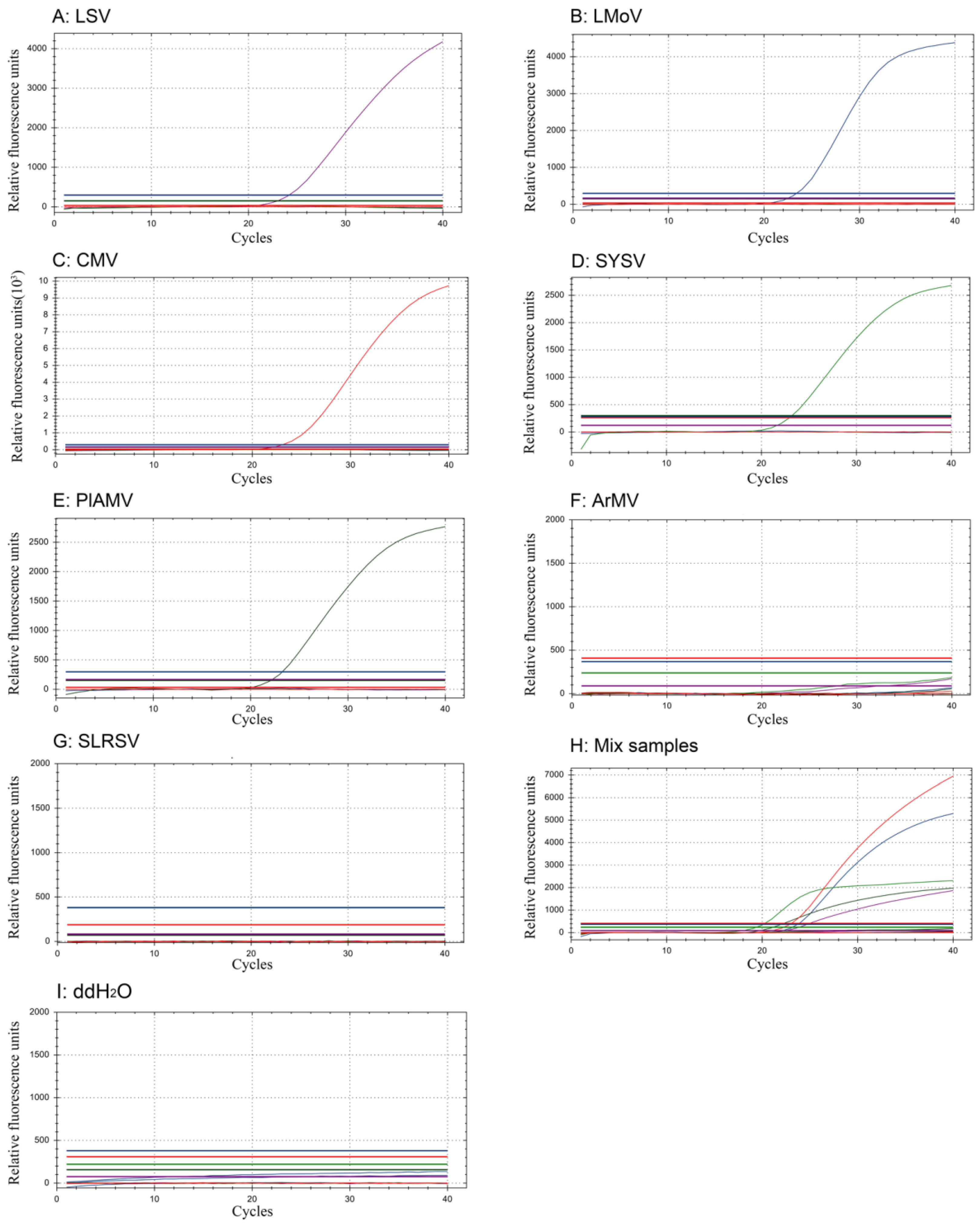 Agronomy 12 00047 g005