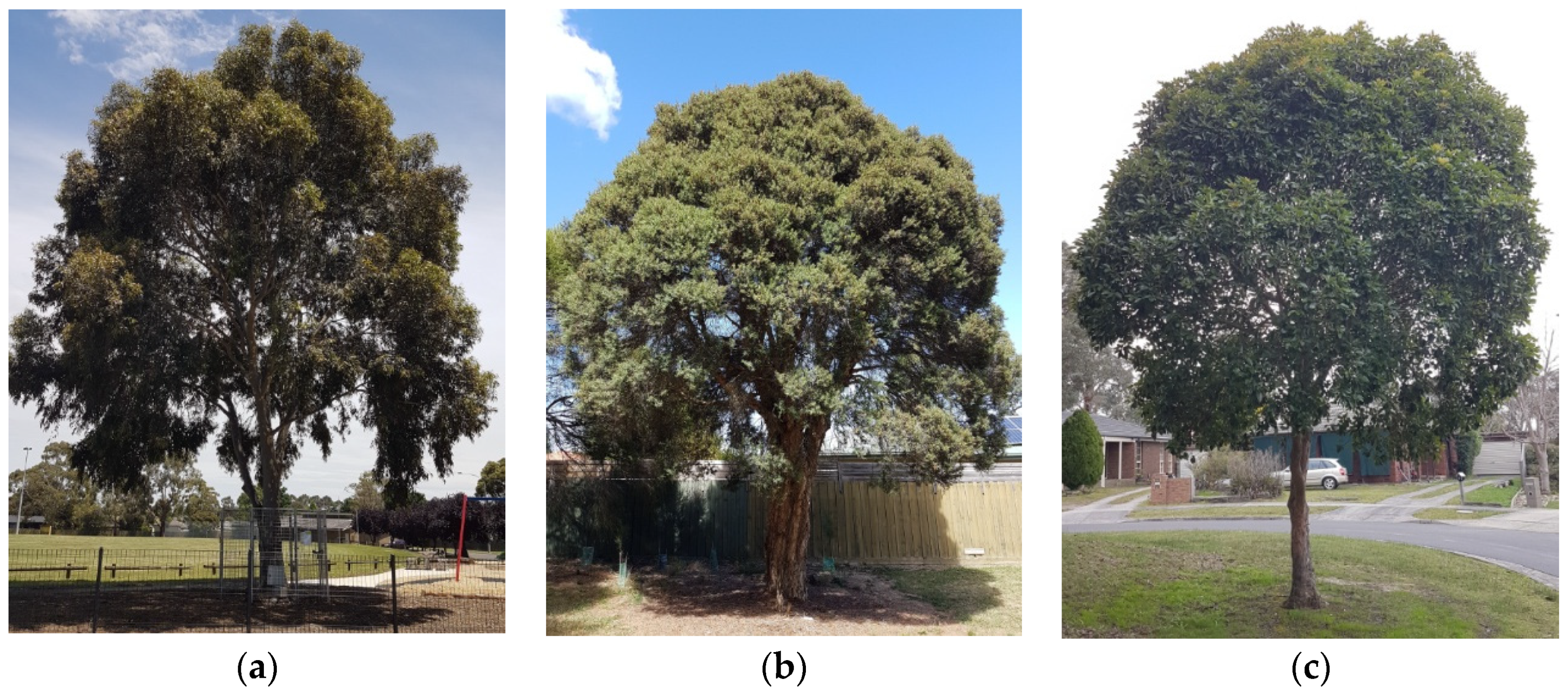 Agronomy 12 00052 g001