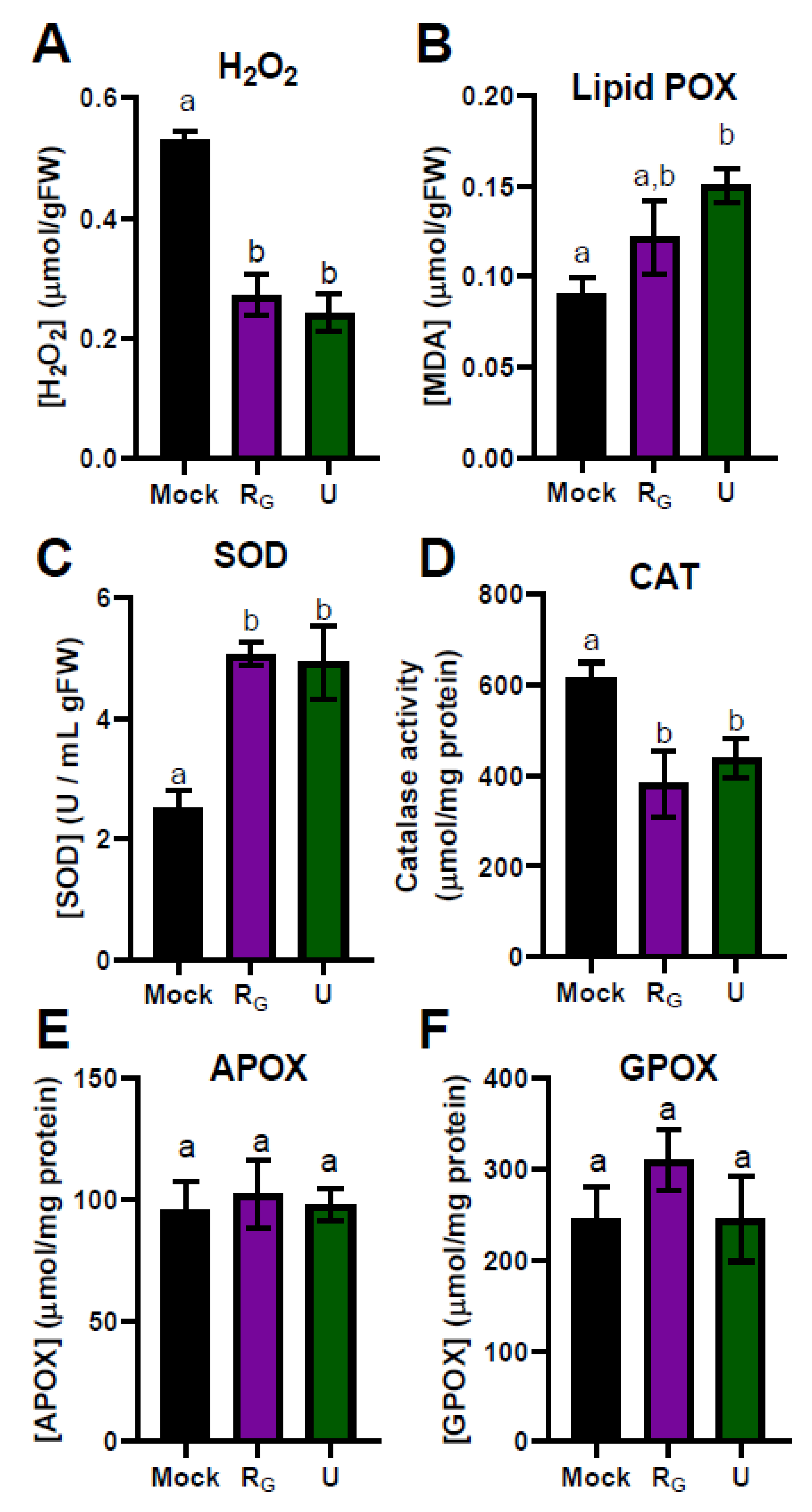 Agronomy 12 00063 g004
