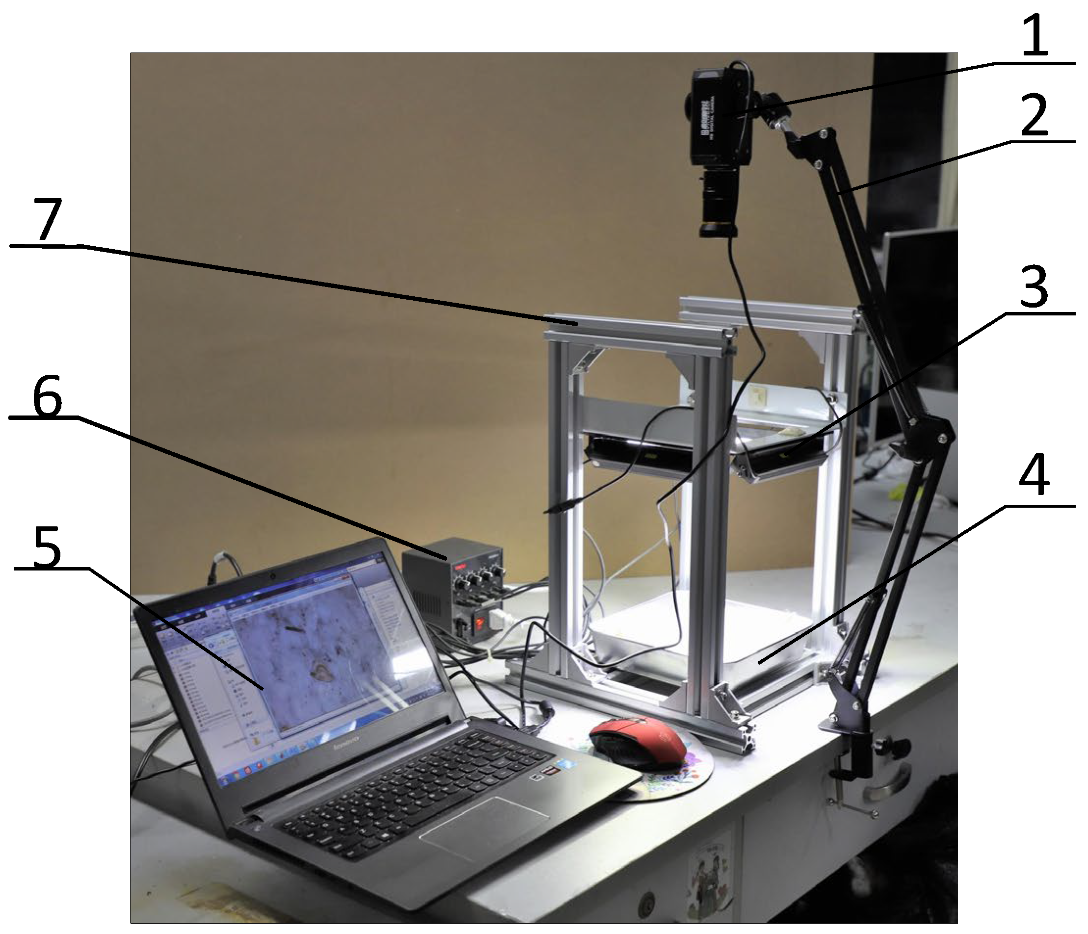 Agronomy 12 00066 g001 550