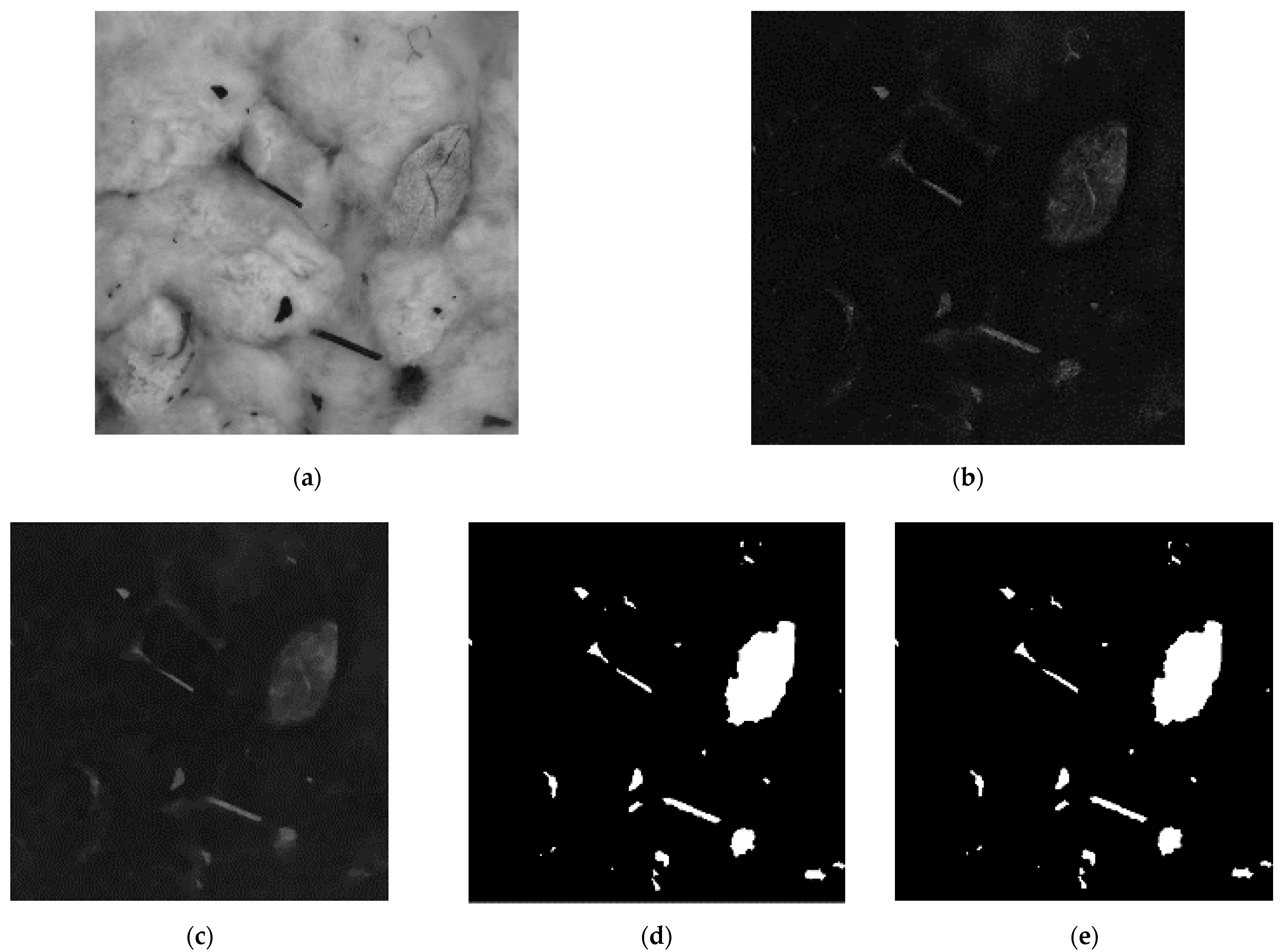 Agronomy 12 00066 g003 550