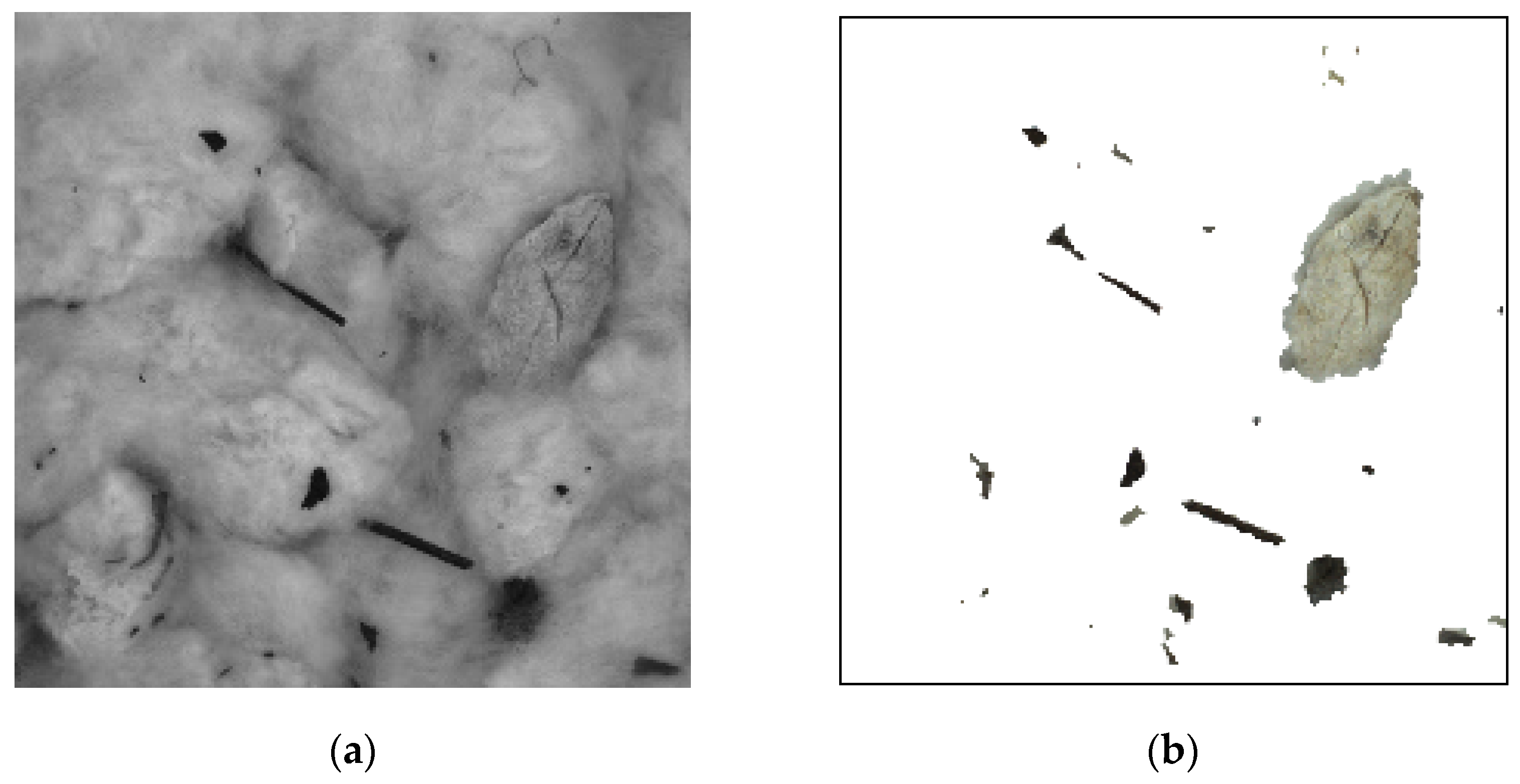 Agronomy 12 00066 g005 550