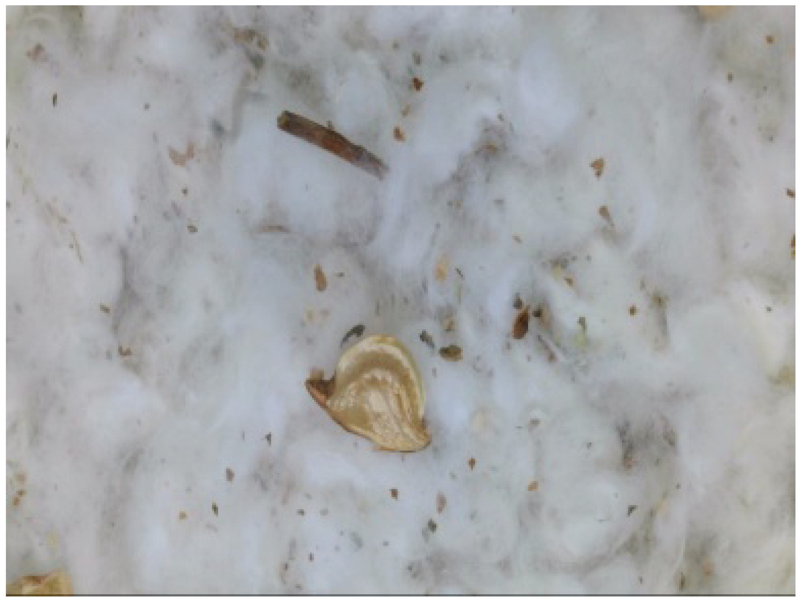 Agronomy 12 00066 g006 550