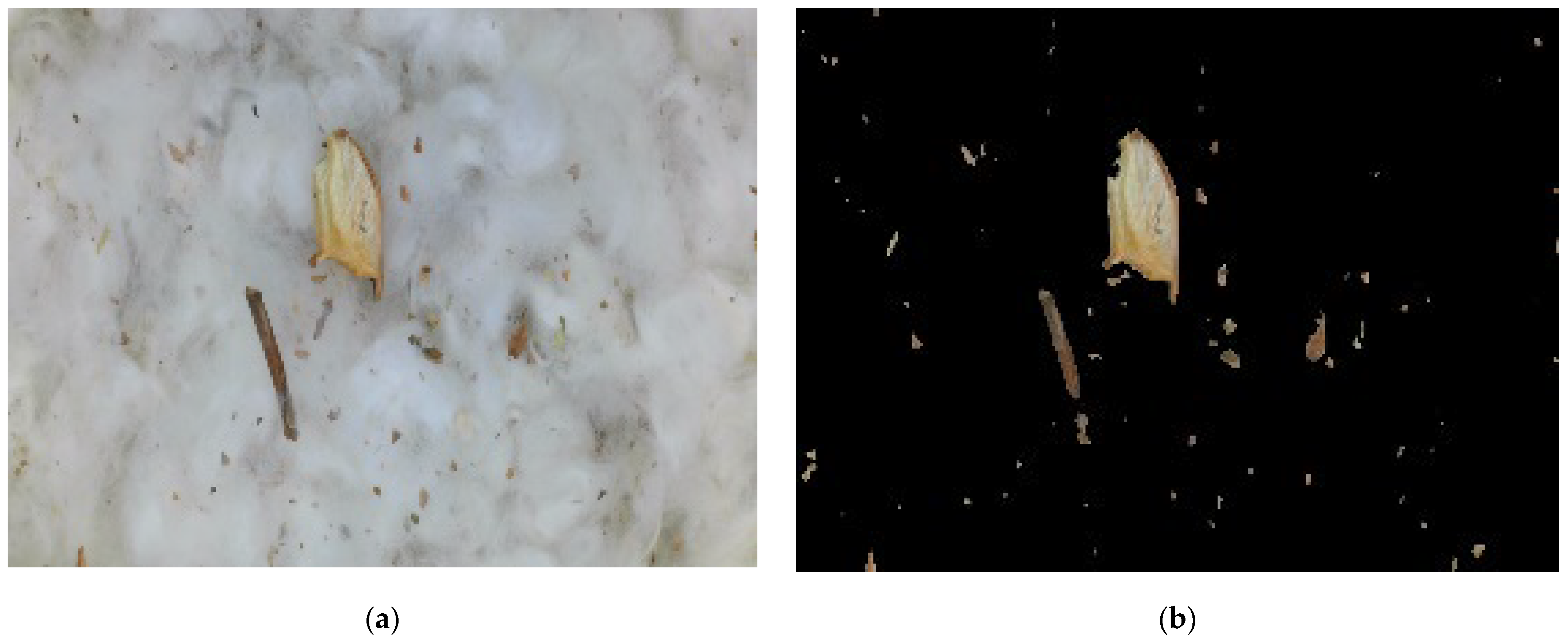 Agronomy 12 00066 g007a 550