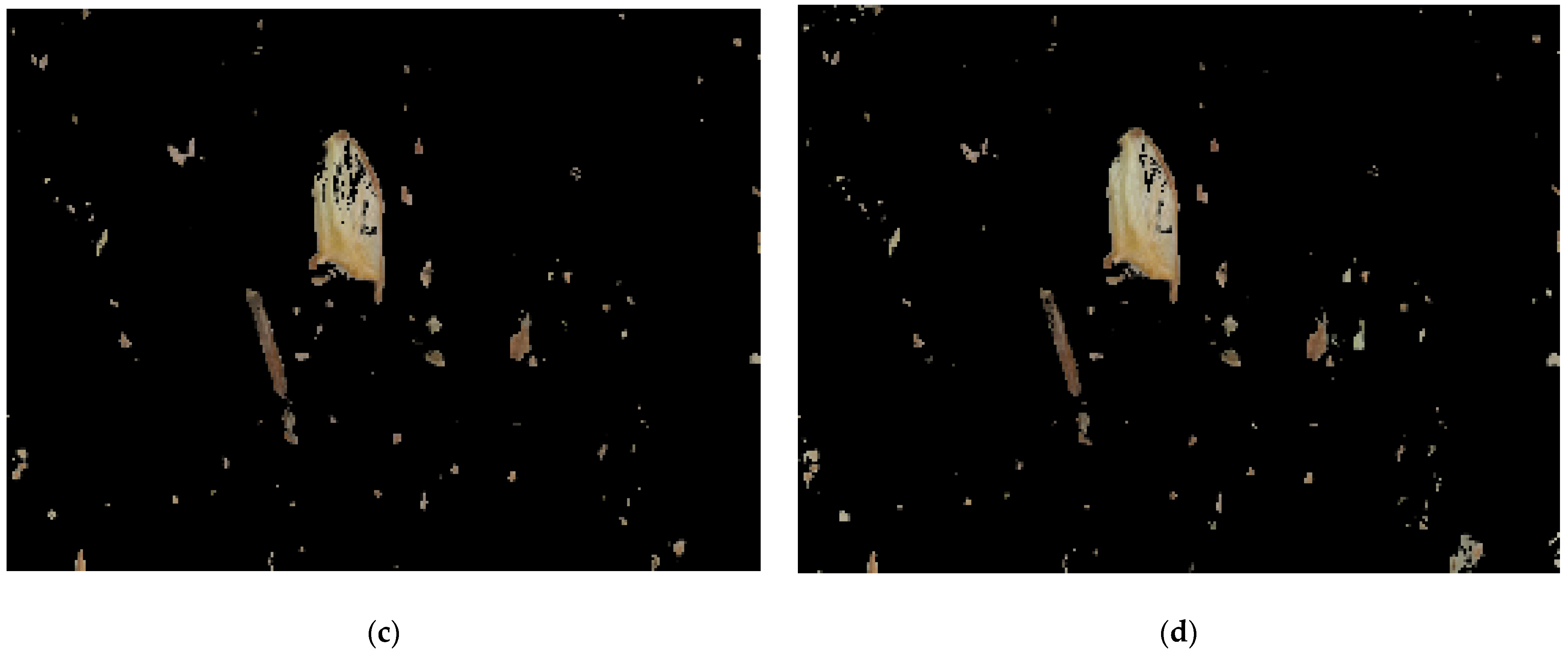 Agronomy 12 00066 g007b 550