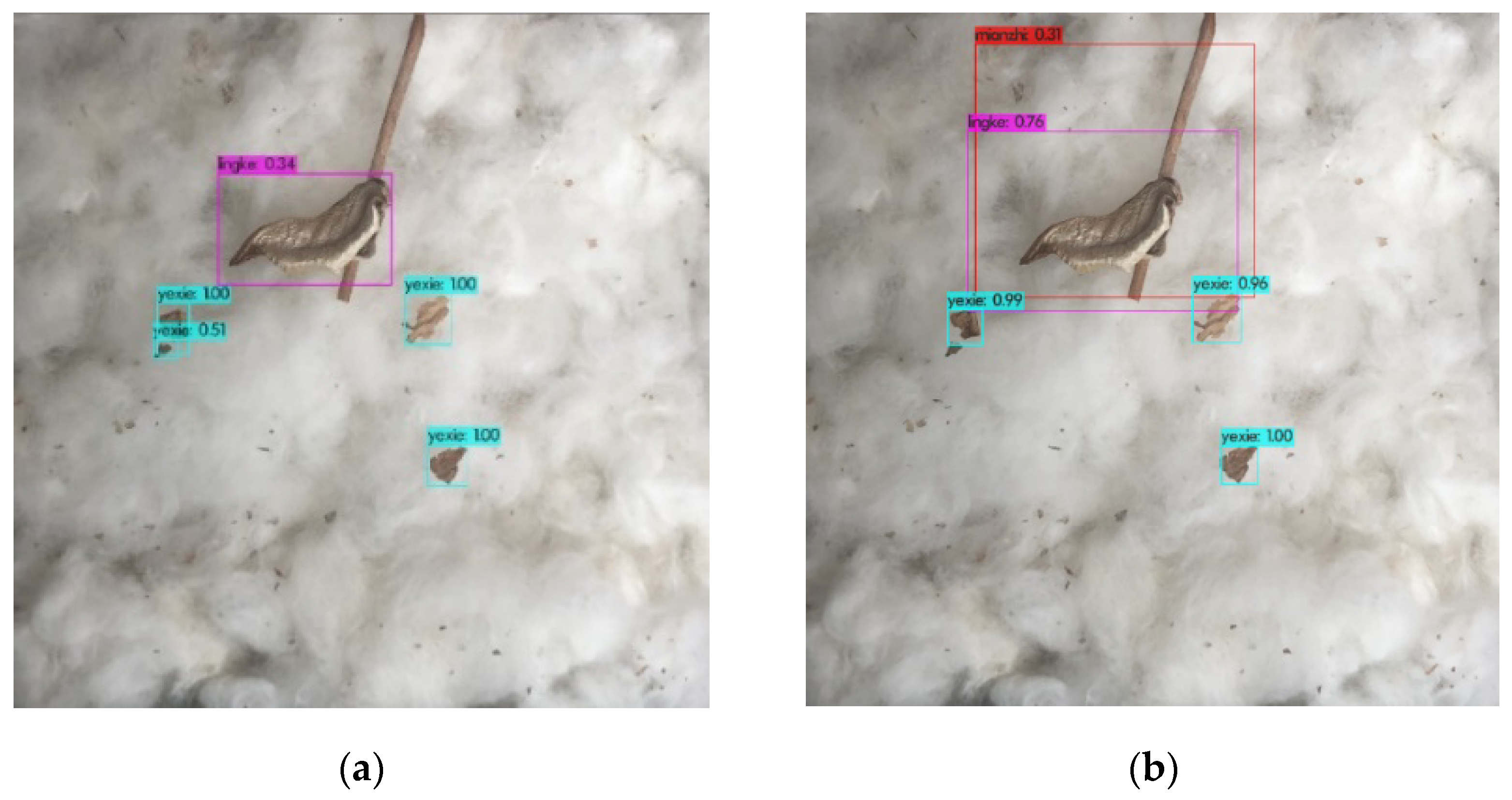 Agronomy 12 00066 g010 550