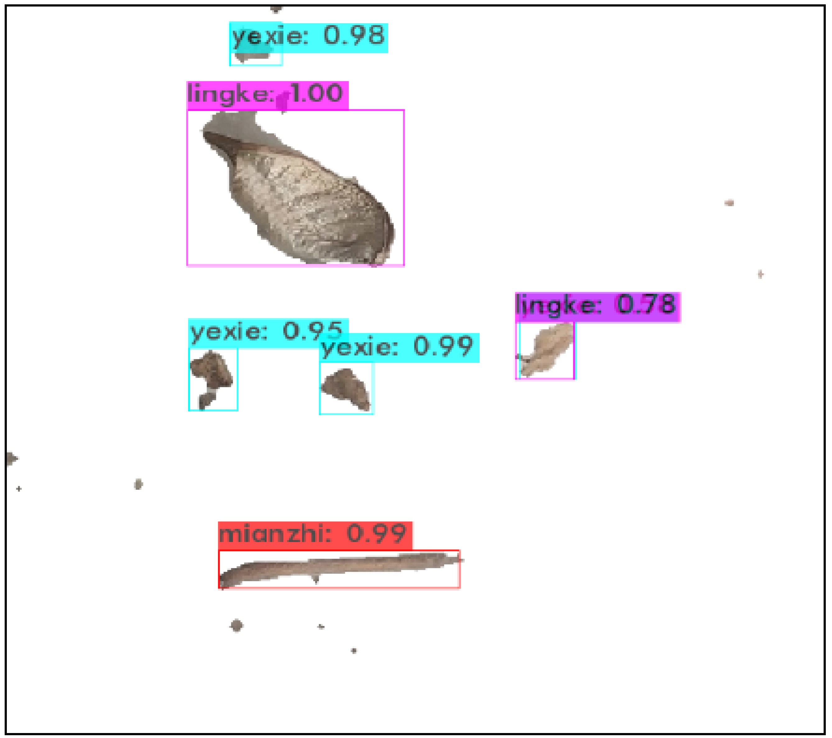 Agronomy 12 00066 g012 550