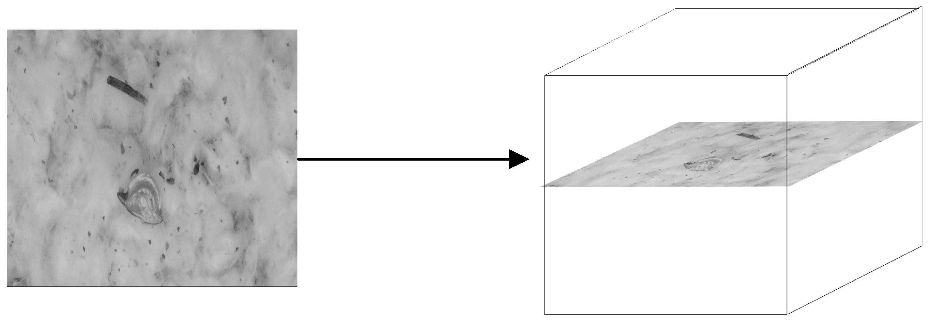 Agronomy 12 00066 g013 550