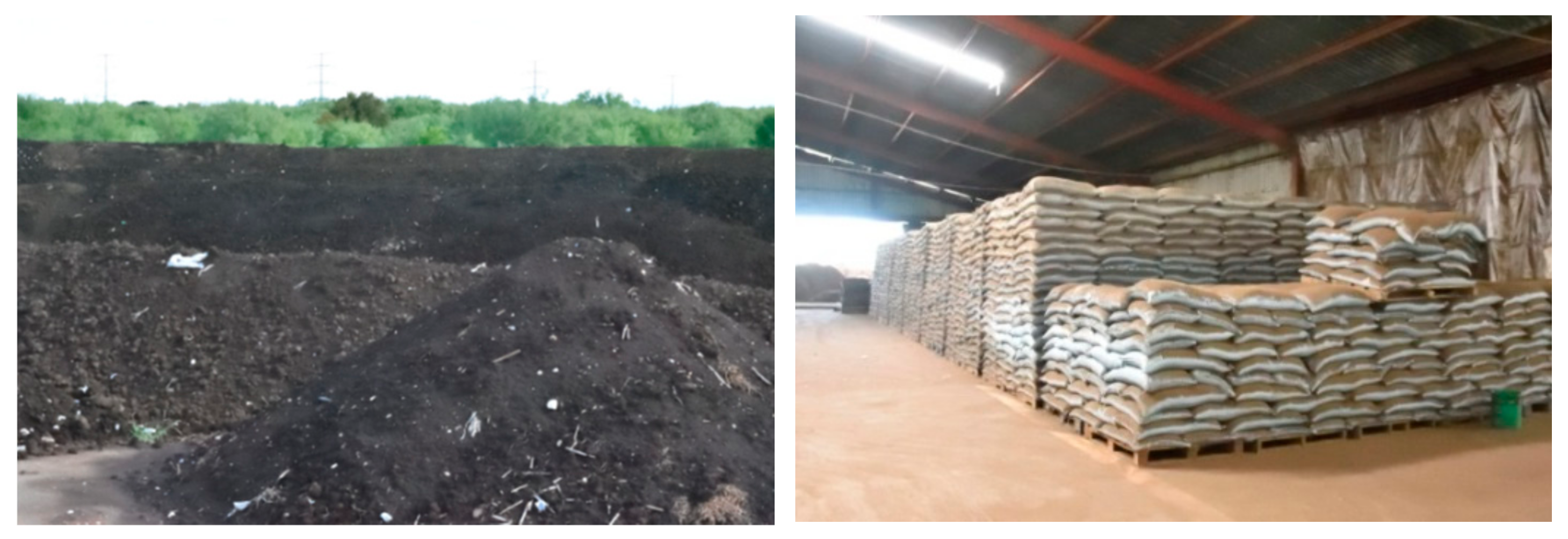 Agronomy 12 00067 g001 550