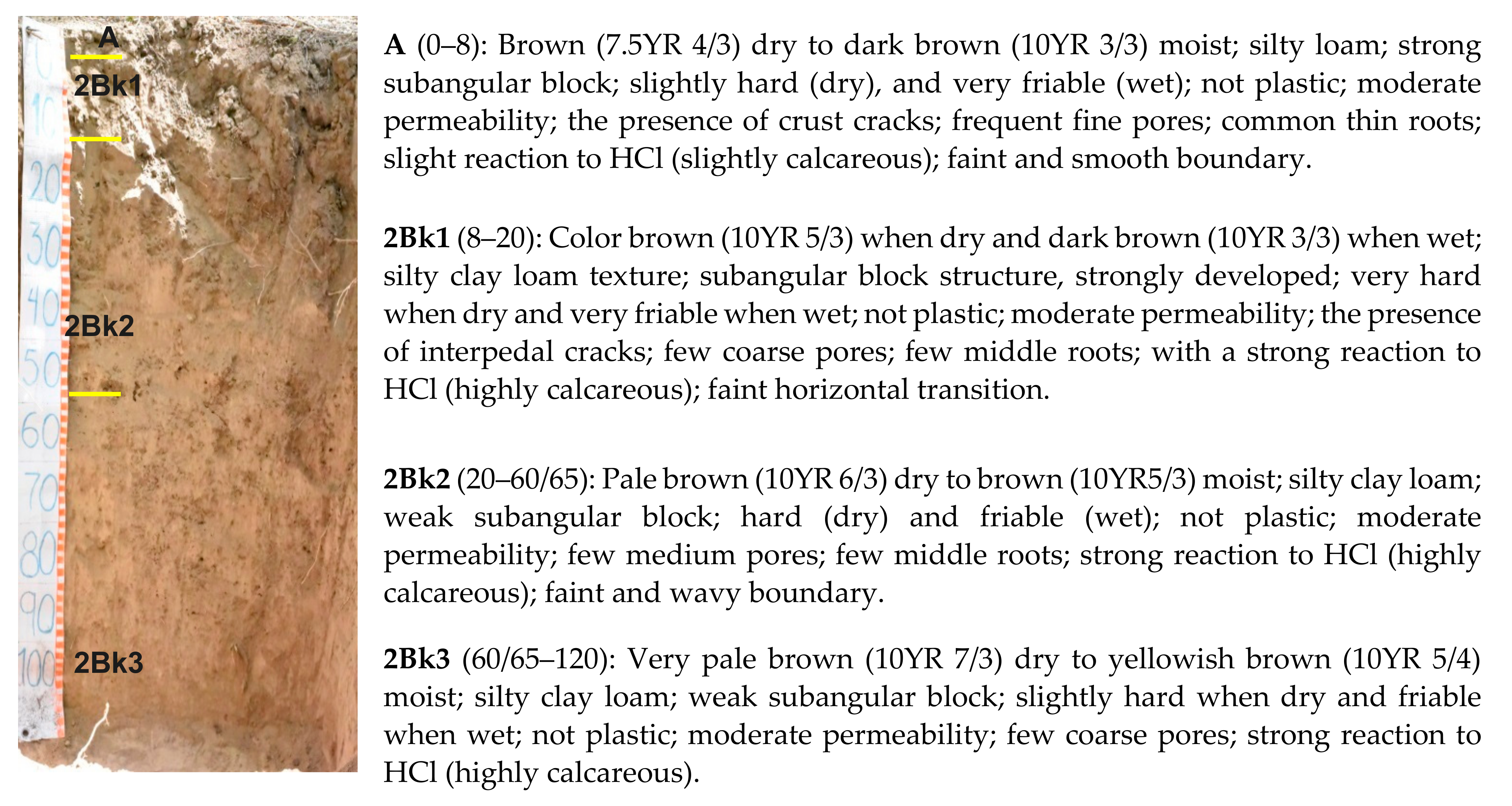 Agronomy 12 00067 g005 550