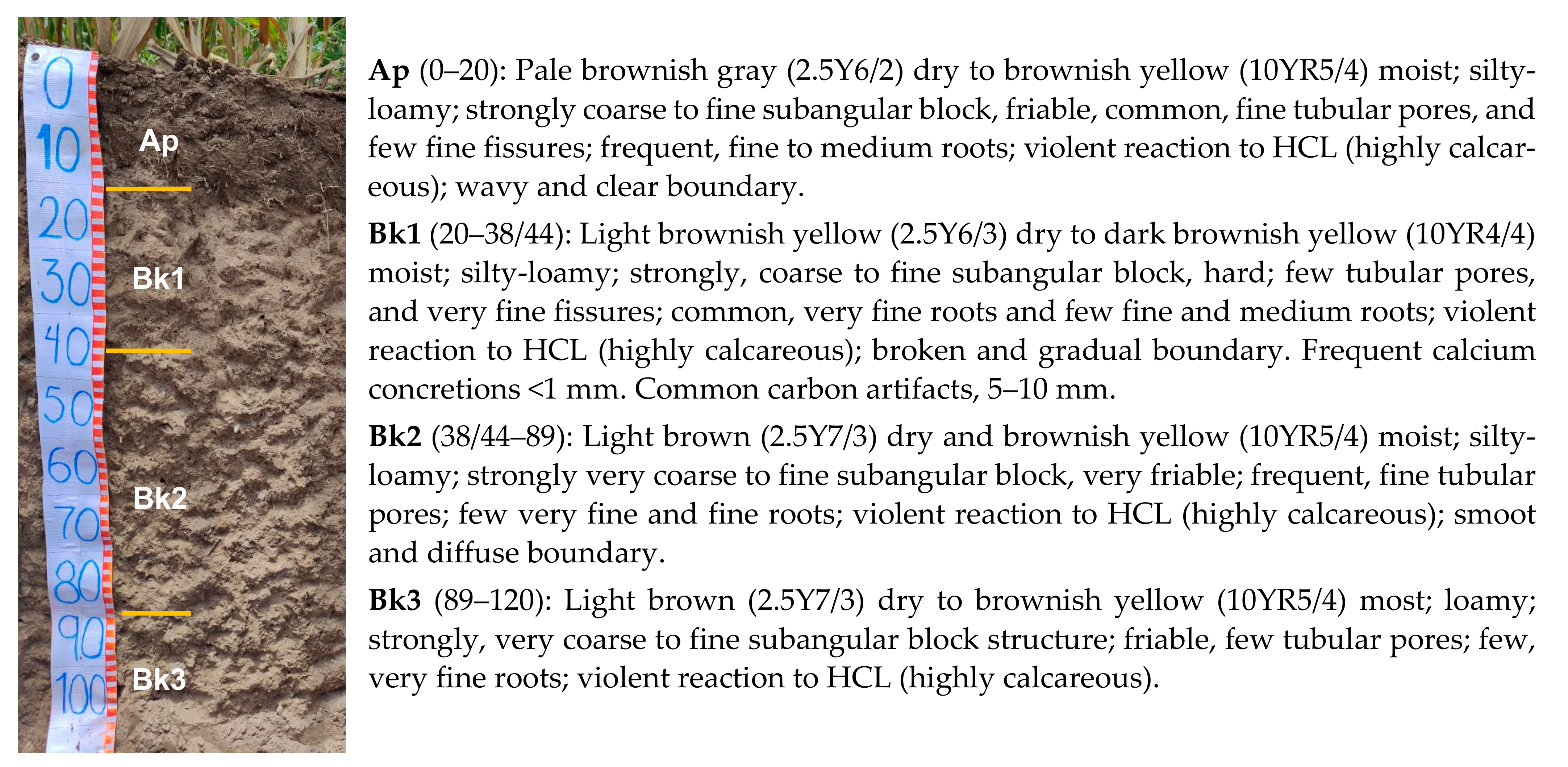 Agronomy 12 00067 g007 550