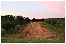 Agronomy 12 00069 i005