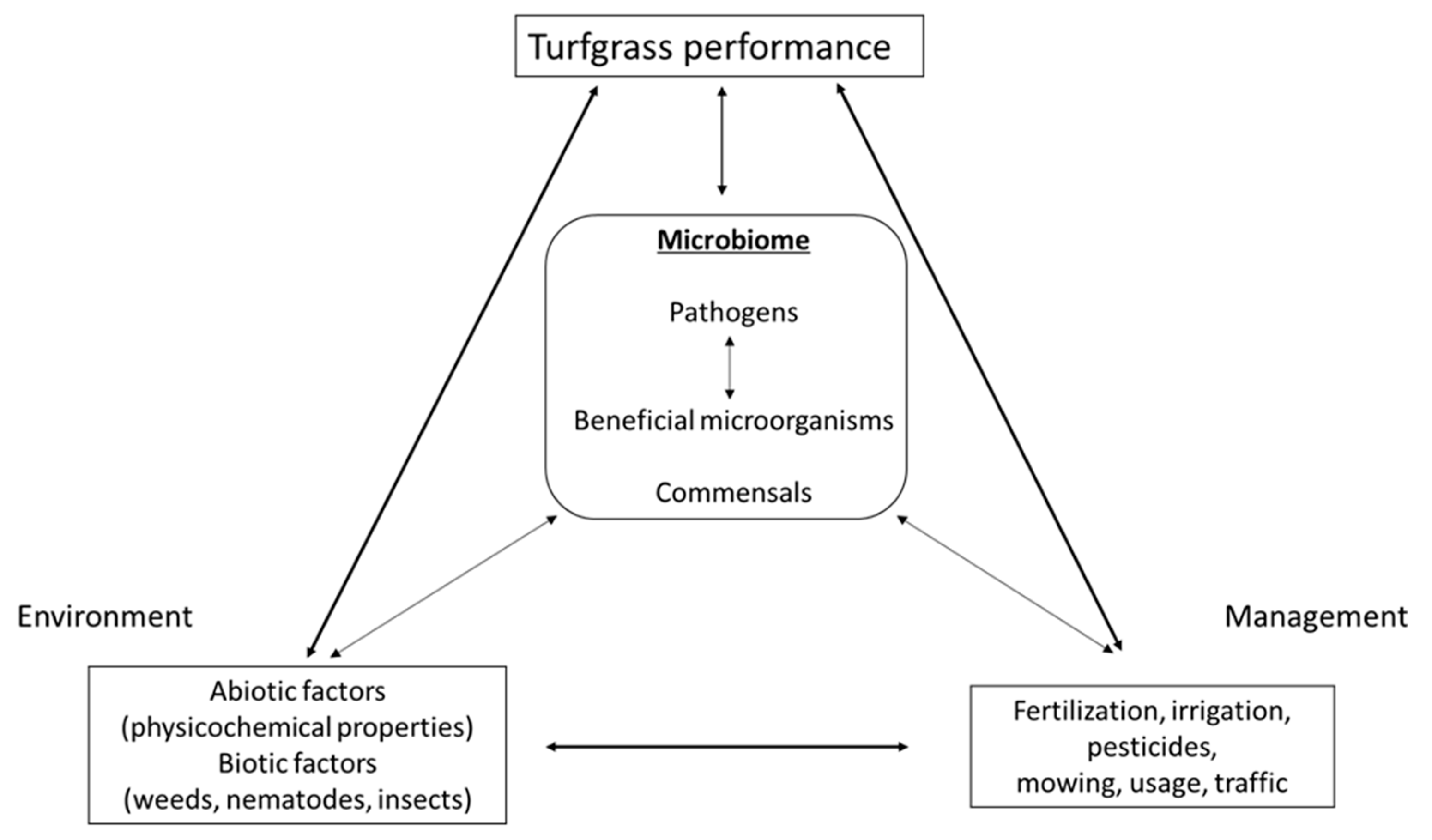 Agronomy 12 00071 g003 Agronomy 12 00071 g003