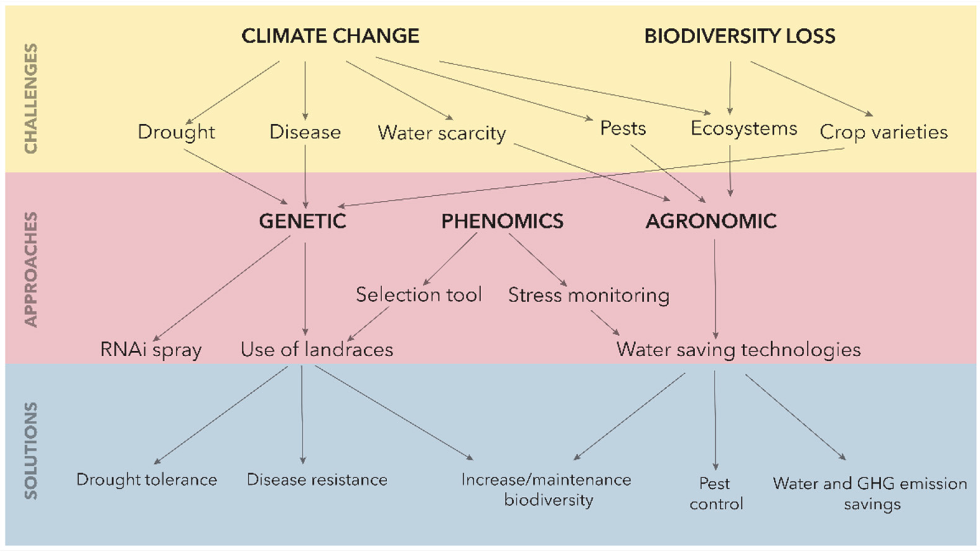 Agronomy 12 00075 g001